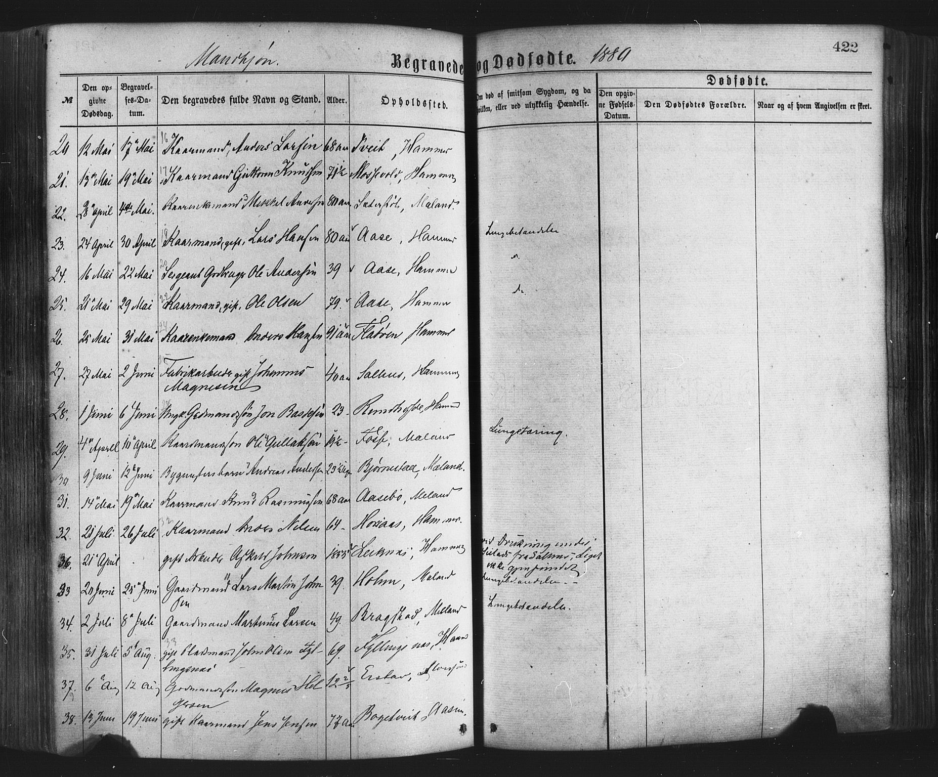 Hamre sokneprestembete, AV/SAB-A-75501/H/Ha/Haa/Haaa/L0015: Parish register (official) no. A 15, 1870-1881, p. 422