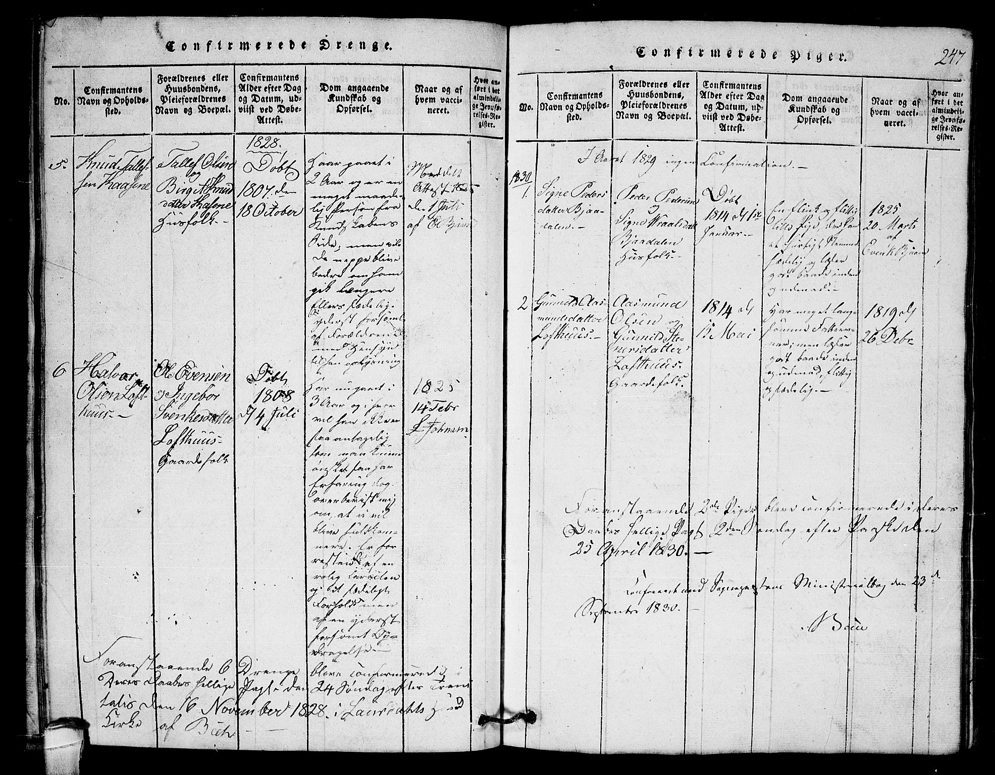 Lårdal kirkebøker, SAKO/A-284/G/Gb/L0001: Parish register (copy) no. II 1, 1815-1865, p. 247