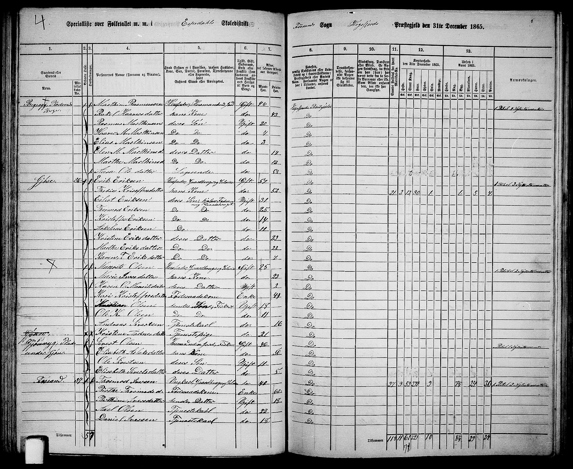 RA, 1865 census for Høgsfjord, 1865, p. 51