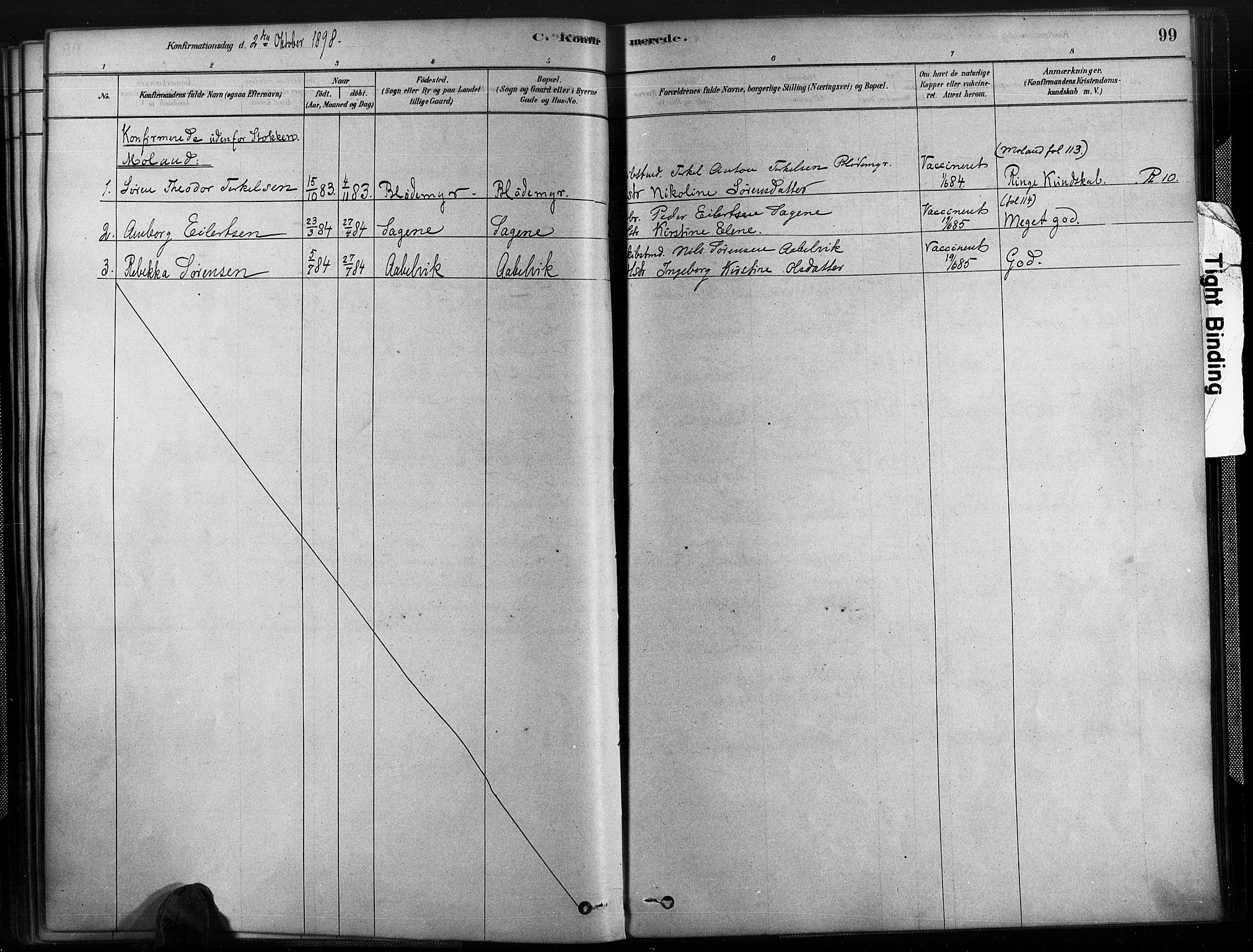 Austre Moland sokneprestkontor, SAK/1111-0001/F/Fa/Fab/L0001: Parish register (official) no. A 1, 1878-1898, p. 99