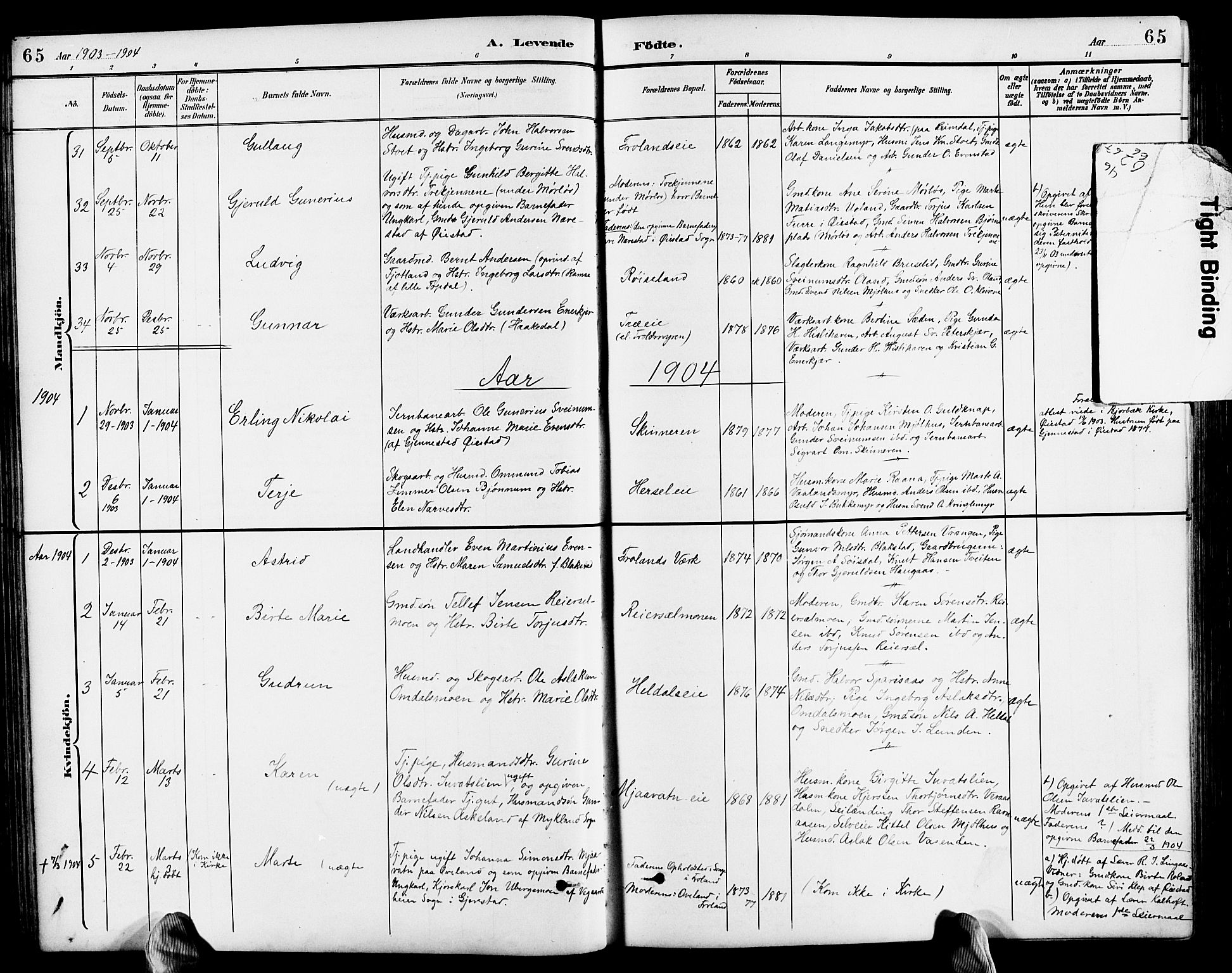 Froland sokneprestkontor, SAK/1111-0013/F/Fb/L0010: Parish register (copy) no. B 10, 1893-1920, p. 65