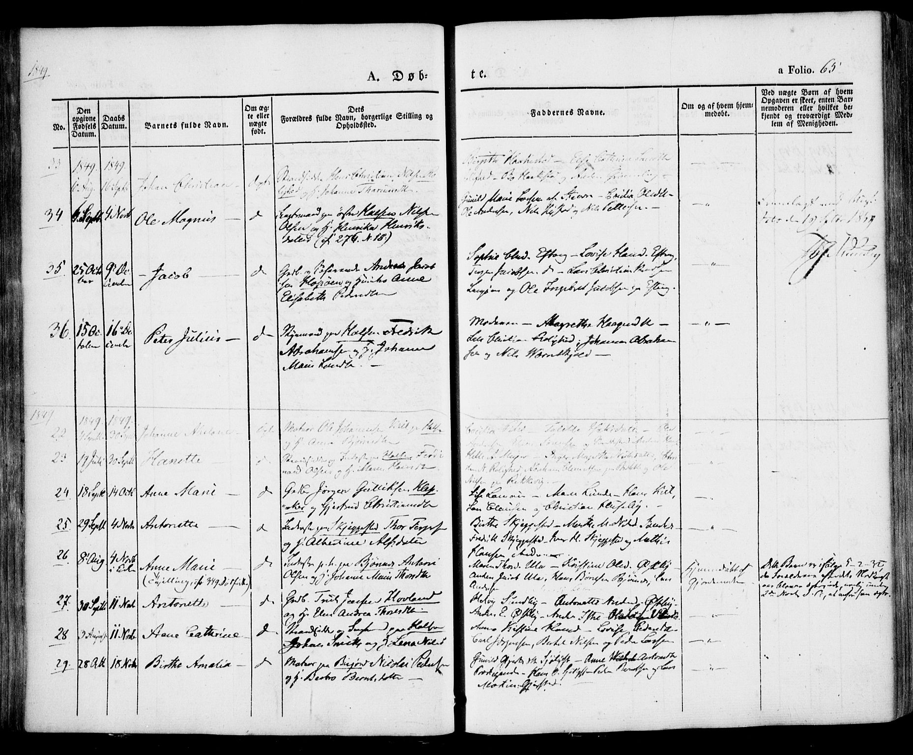 Tjølling kirkebøker, SAKO/A-60/F/Fa/L0006: Parish register (official) no. 6, 1835-1859, p. 65