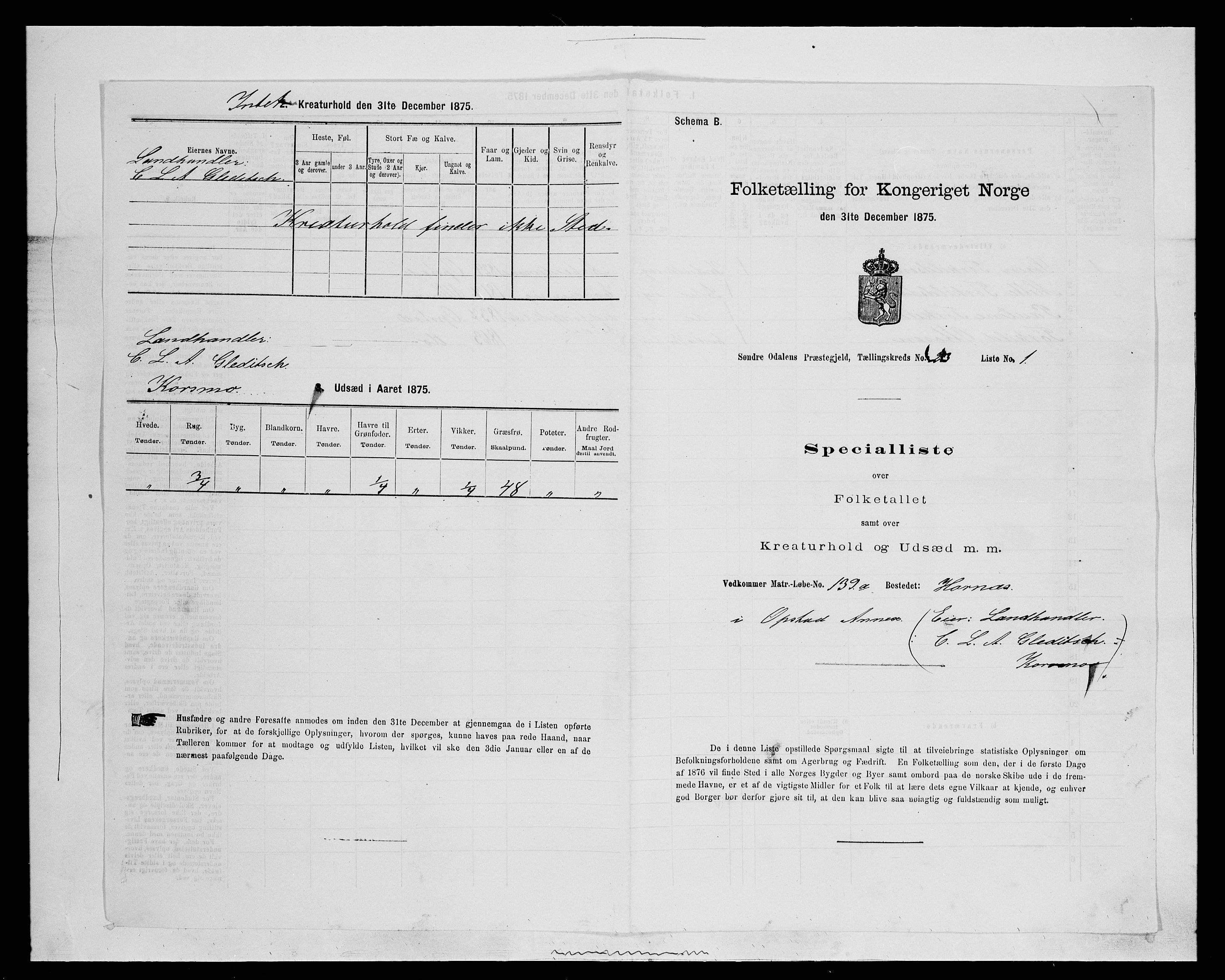 SAH, 1875 census for 0419P Sør-Odal, 1875, p. 1924