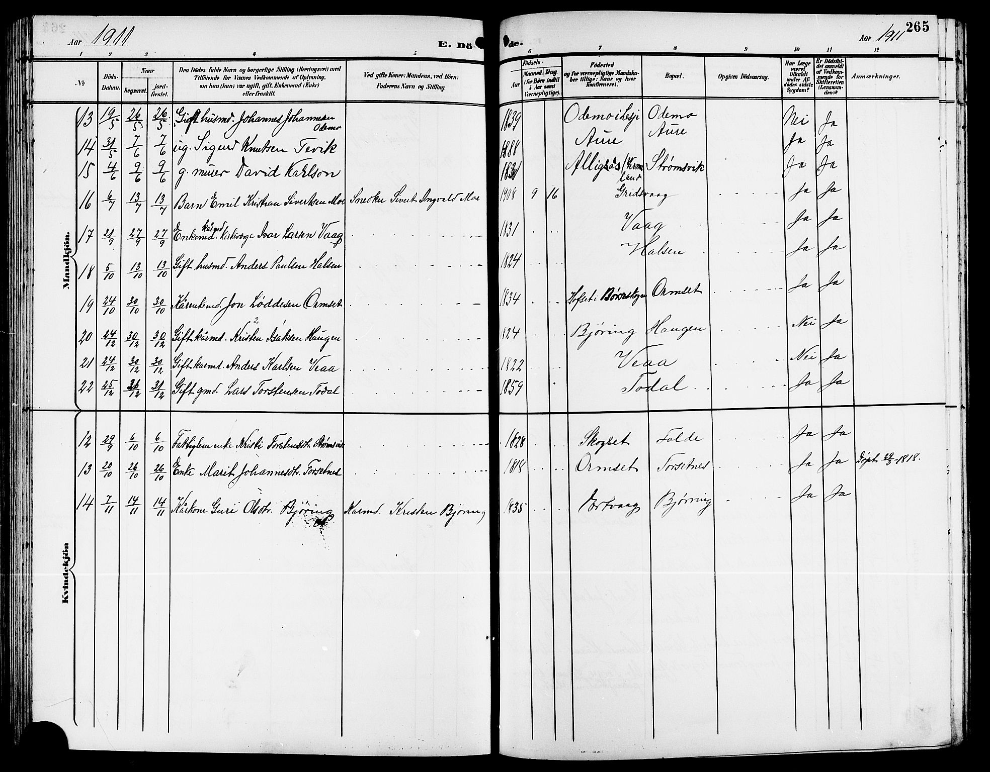 Ministerialprotokoller, klokkerbøker og fødselsregistre - Møre og Romsdal, AV/SAT-A-1454/578/L0910: Parish register (copy) no. 578C03, 1900-1921, p. 265