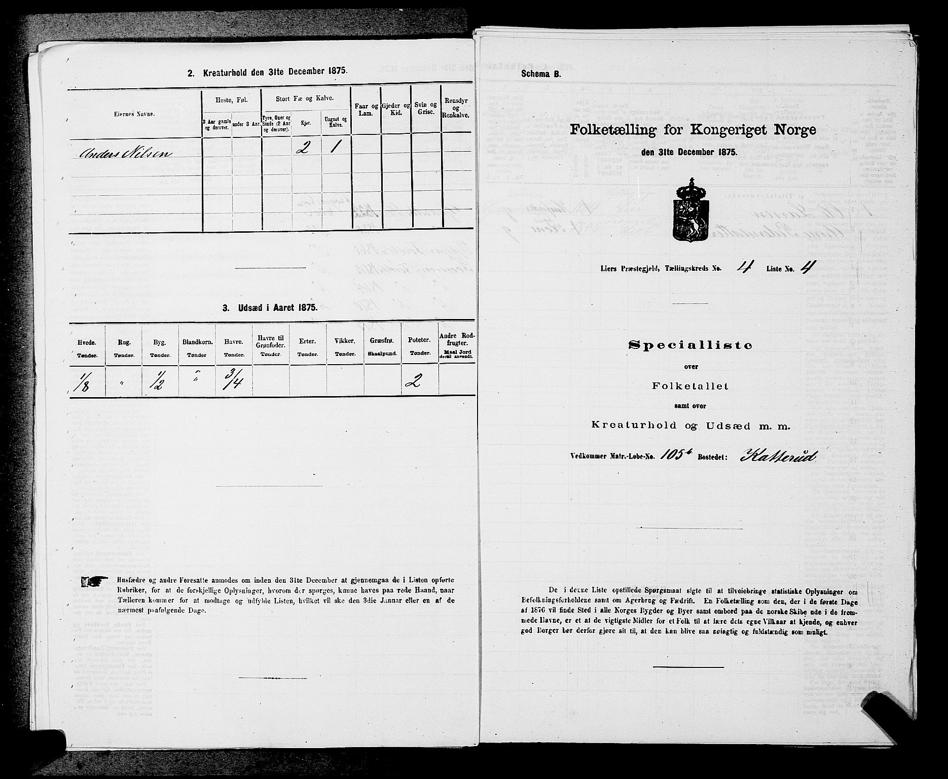 SAKO, 1875 census for 0626P Lier, 1875, p. 704