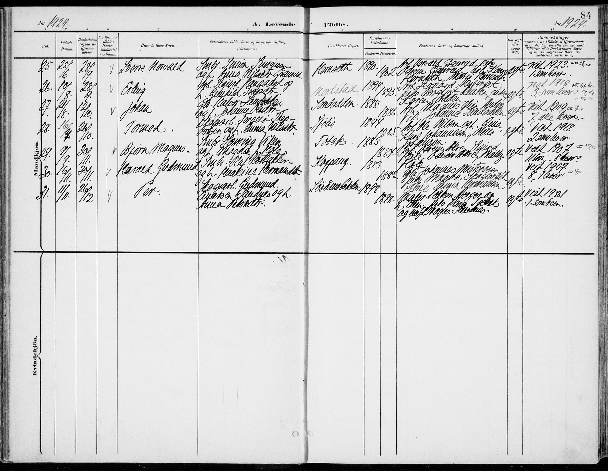 Rendalen prestekontor, AV/SAH-PREST-054/H/Ha/Haa/L0011: Parish register (official) no. 11, 1901-1925, p. 84