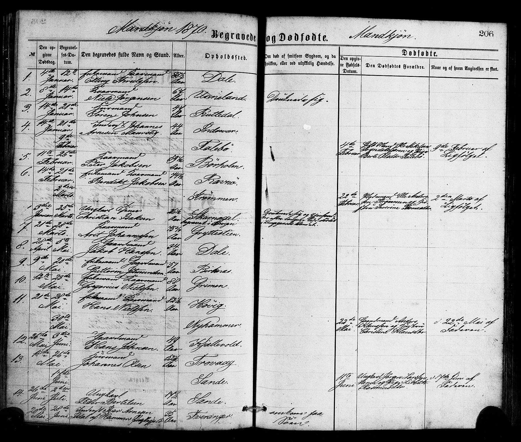Gulen sokneprestembete, AV/SAB-A-80201/H/Haa/Haaa/L0023: Parish register (official) no. A 23, 1870-1880, p. 206