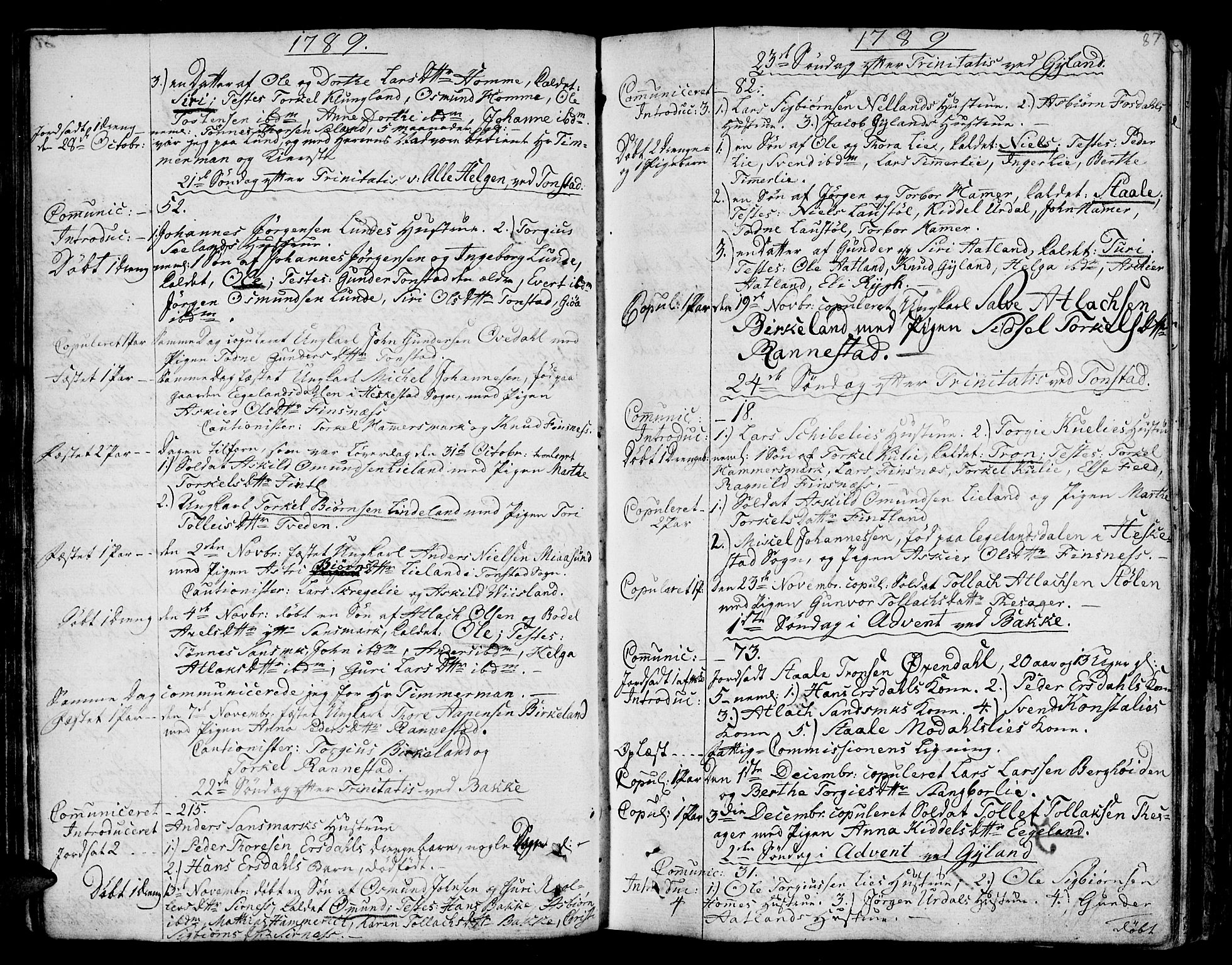 Bakke sokneprestkontor, SAK/1111-0002/F/Fa/Faa/L0002: Parish register (official) no. A 2, 1780-1816, p. 87