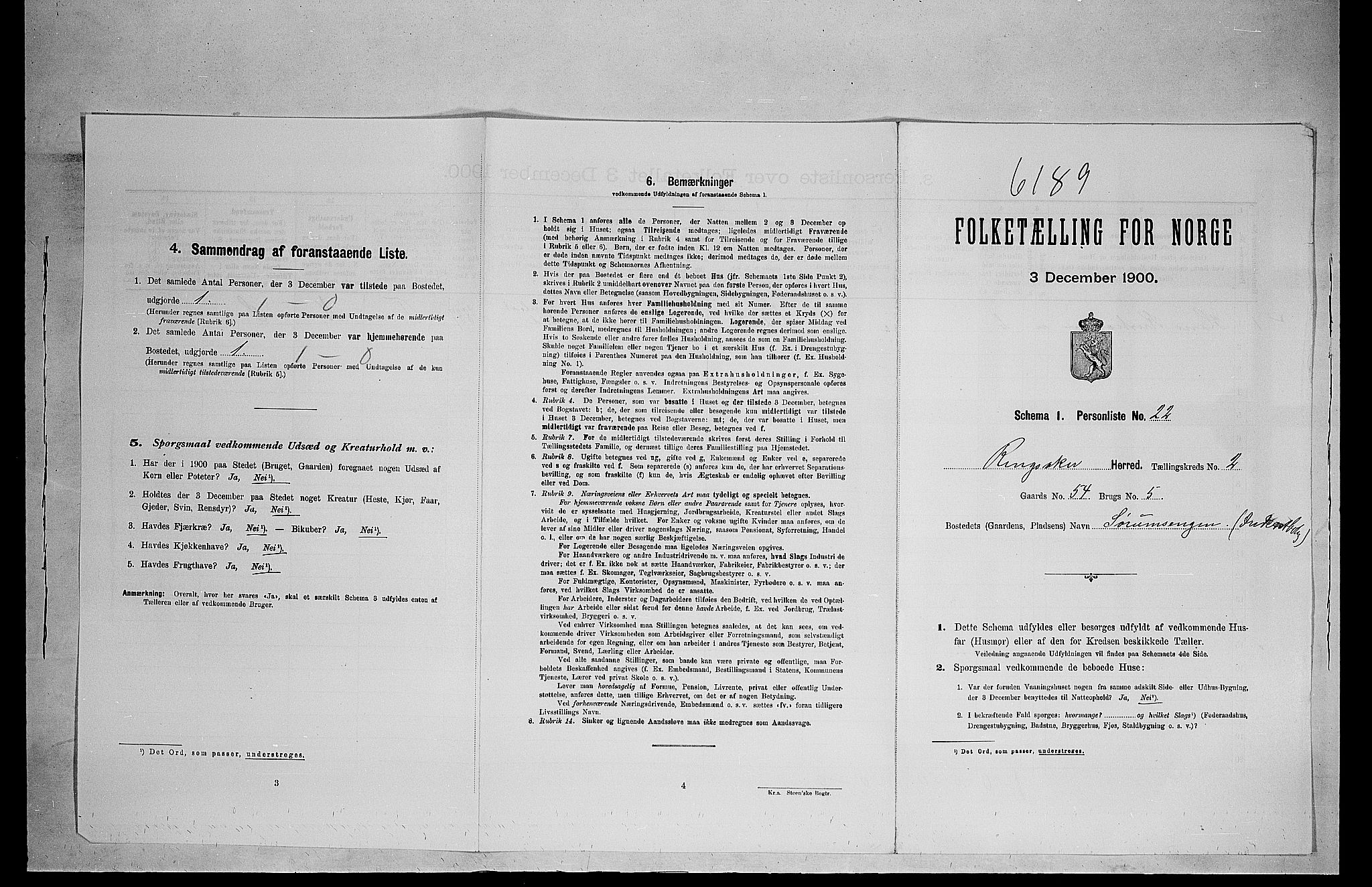 SAH, 1900 census for Ringsaker, 1900, p. 594