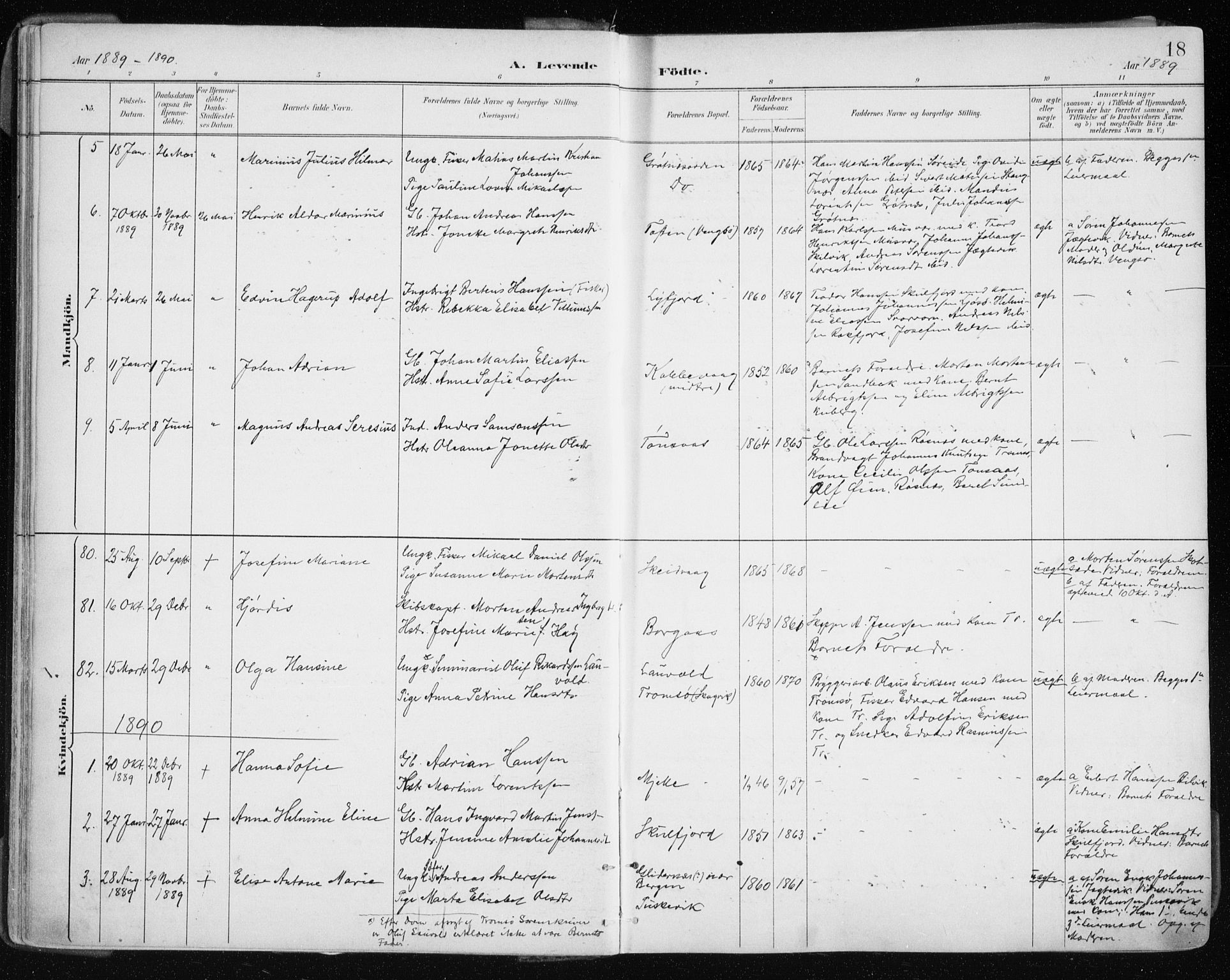 Tromsøysund sokneprestkontor, SATØ/S-1304/G/Ga/L0005kirke: Parish register (official) no. 5, 1888-1896, p. 18