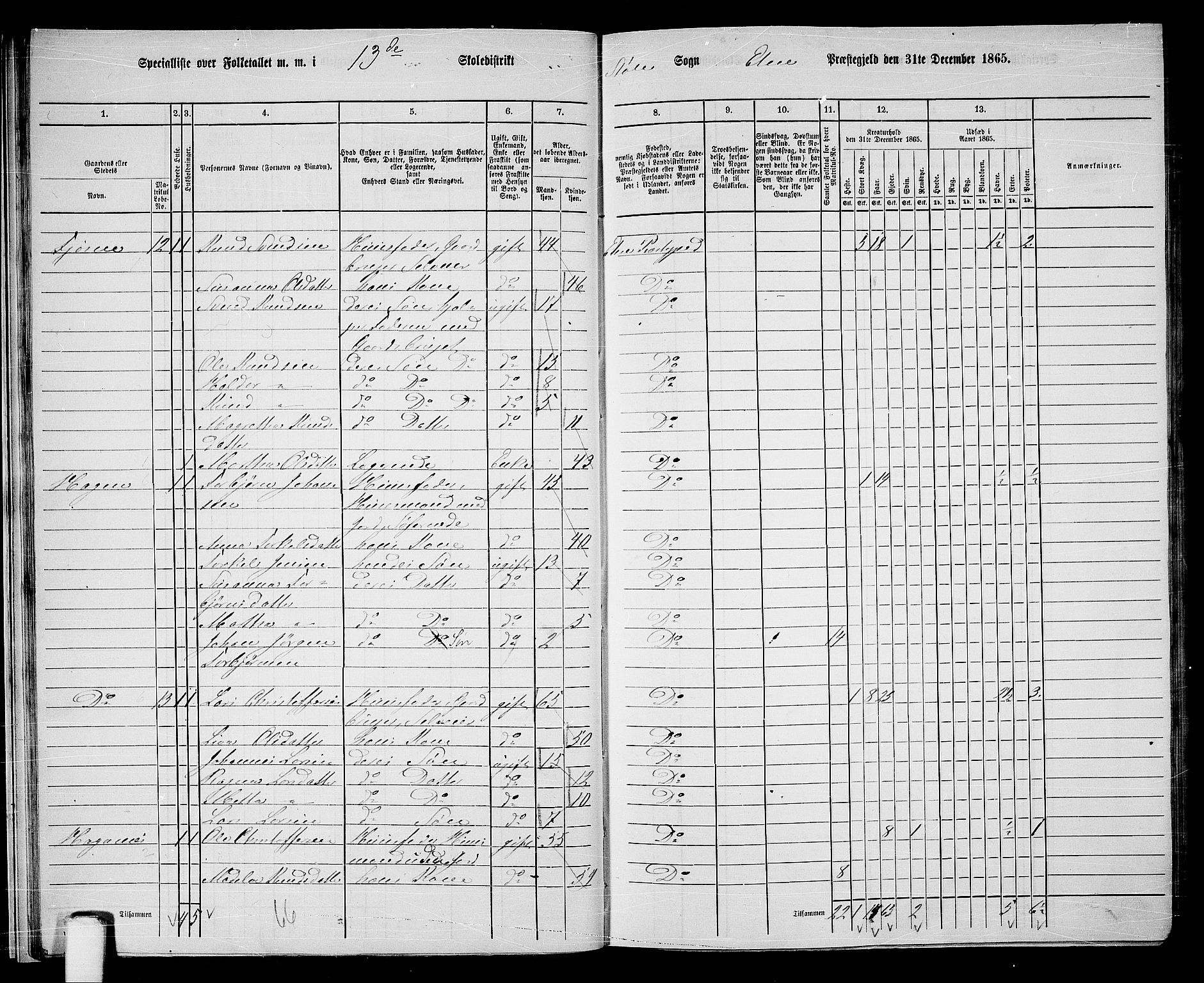 RA, 1865 census for Etne, 1865, p. 21