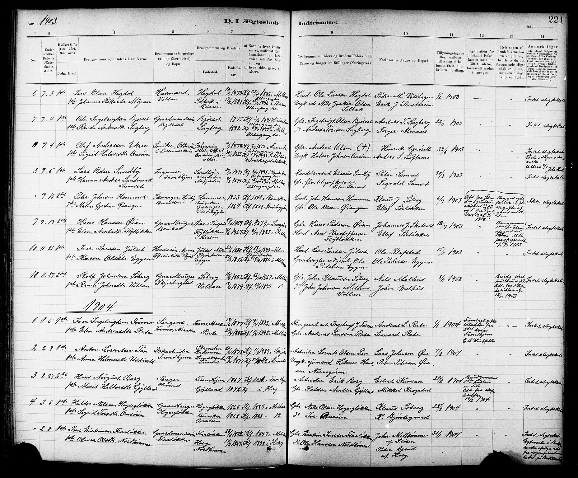 Ministerialprotokoller, klokkerbøker og fødselsregistre - Sør-Trøndelag, AV/SAT-A-1456/691/L1094: Parish register (copy) no. 691C05, 1879-1911, p. 221