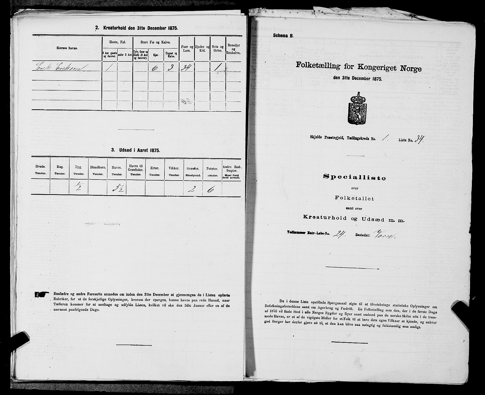 SAST, 1875 census for 1154P Skjold, 1875, p. 122