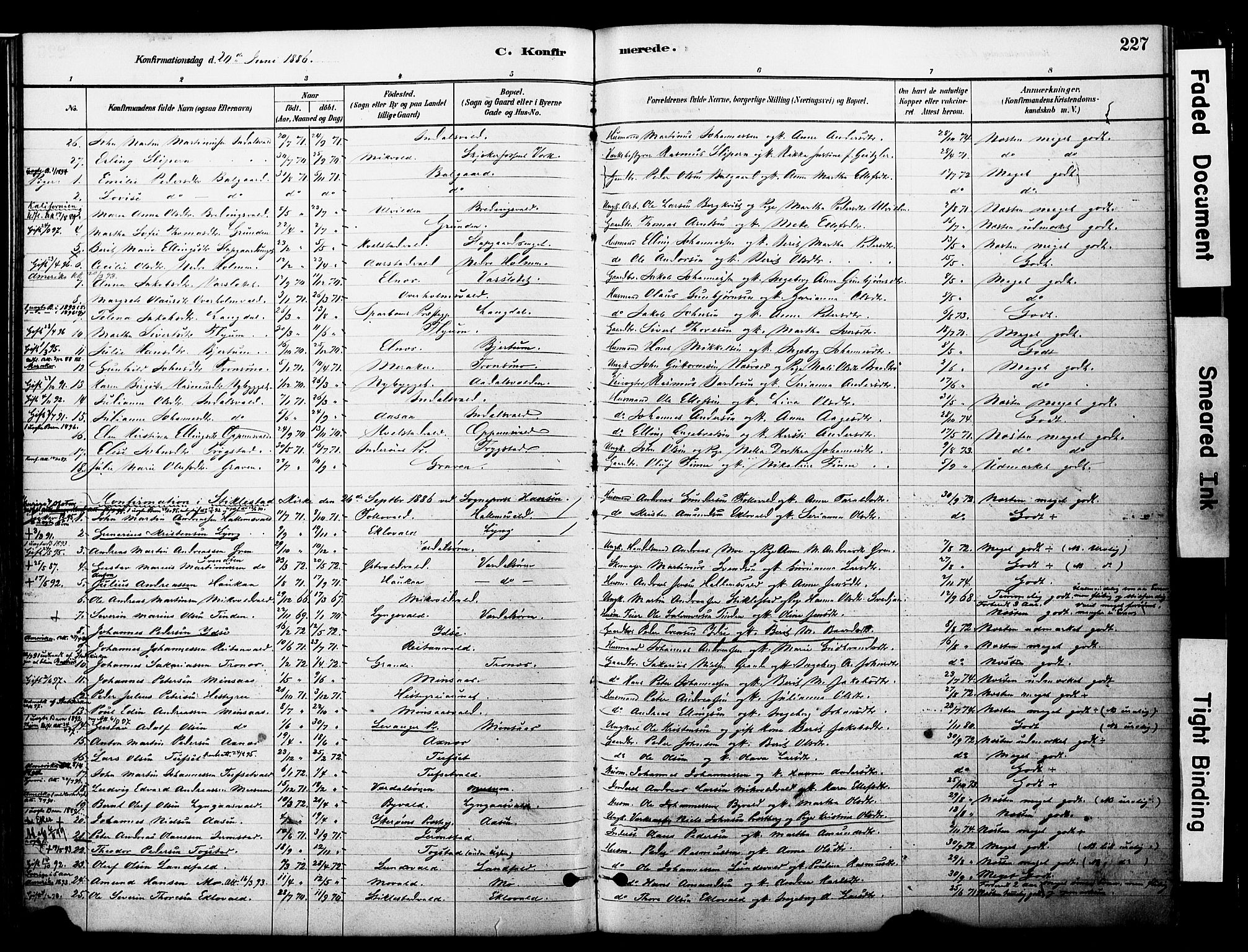 Ministerialprotokoller, klokkerbøker og fødselsregistre - Nord-Trøndelag, SAT/A-1458/723/L0244: Parish register (official) no. 723A13, 1881-1899, p. 227