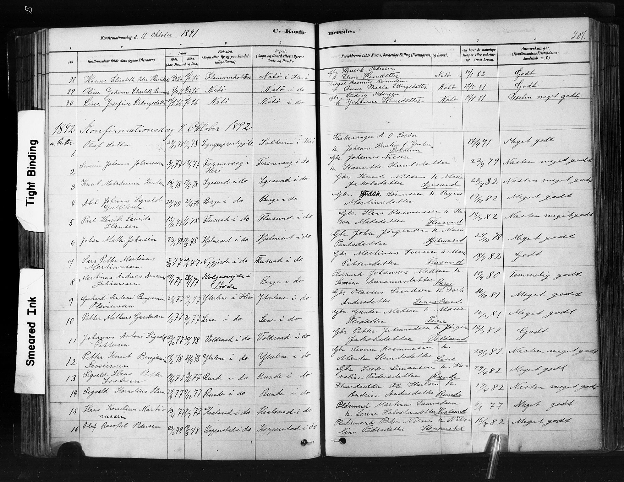 Ministerialprotokoller, klokkerbøker og fødselsregistre - Møre og Romsdal, SAT/A-1454/507/L0073: Parish register (official) no. 507A08, 1878-1904, p. 207