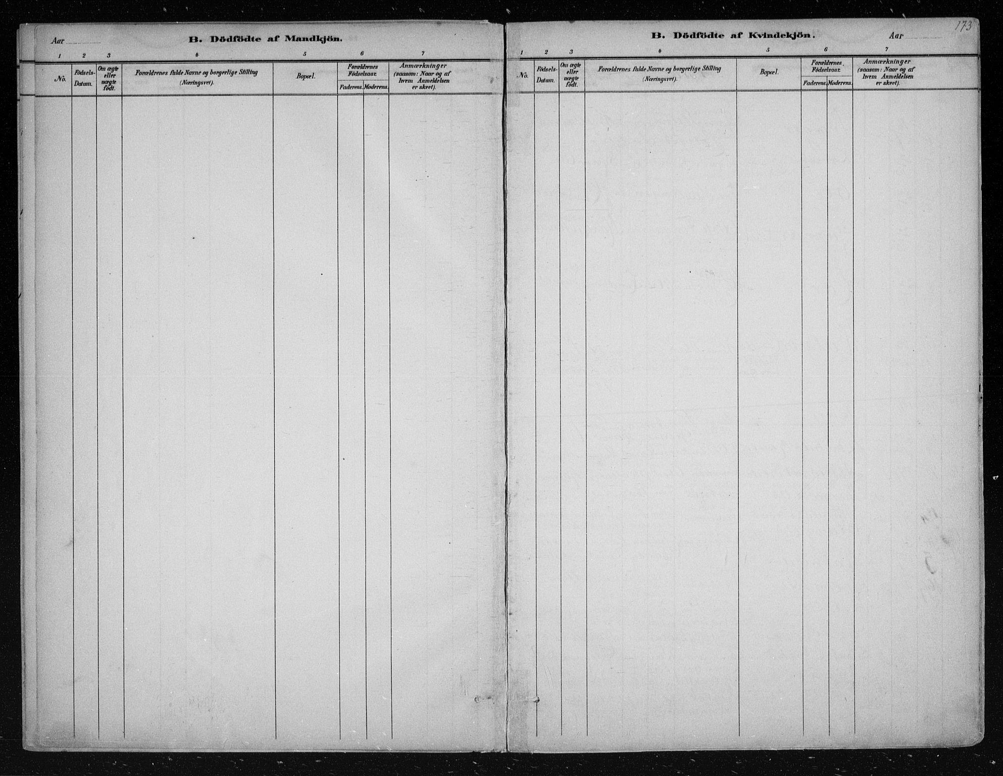 Nes kirkebøker, AV/SAKO-A-236/F/Fa/L0011: Parish register (official) no. 11, 1881-1912, p. 173