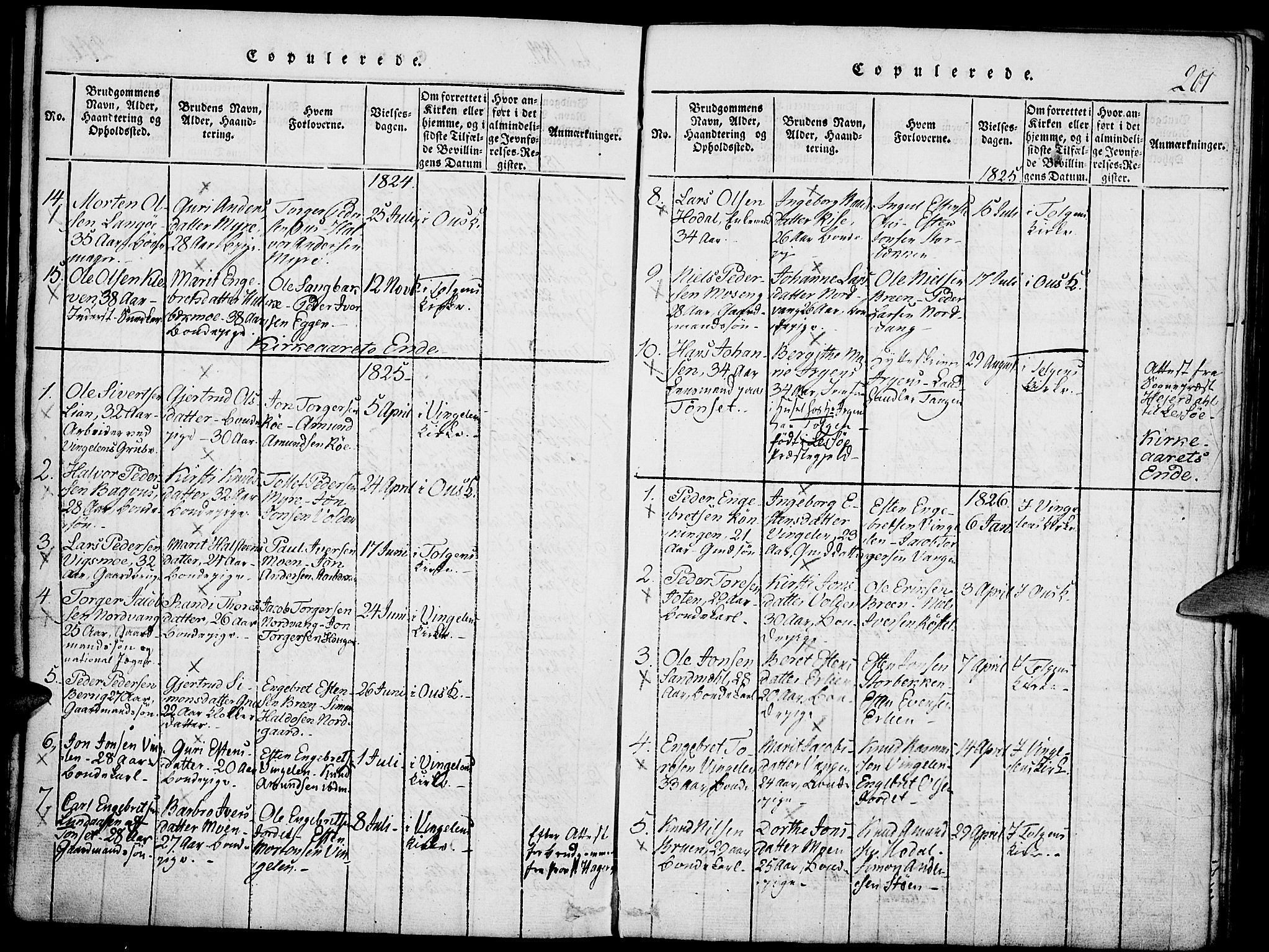 Tolga prestekontor, AV/SAH-PREST-062/K/L0004: Parish register (official) no. 4, 1815-1836, p. 201