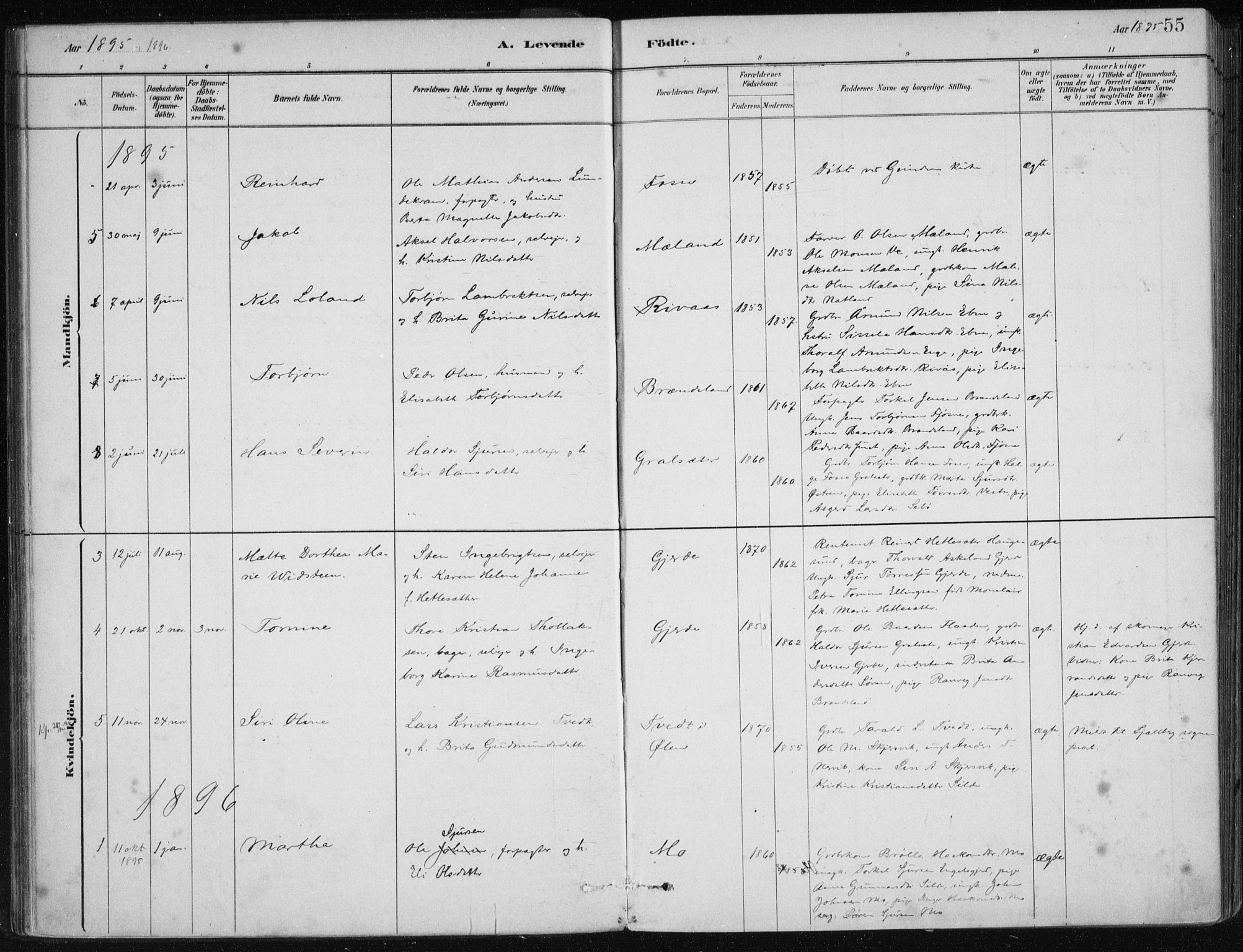 Etne sokneprestembete, SAB/A-75001/H/Haa: Parish register (official) no. C  1, 1879-1919, p. 55