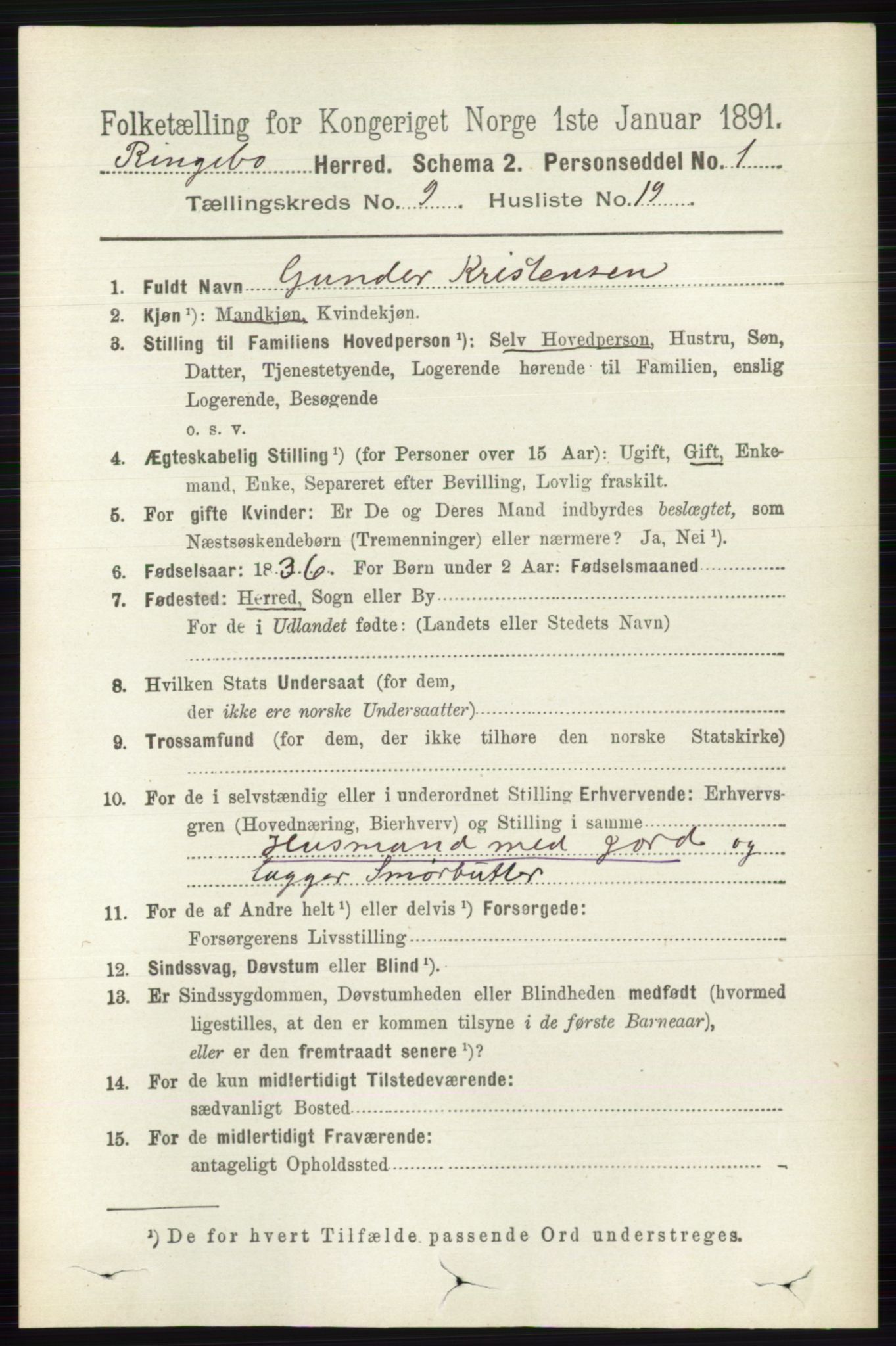 RA, 1891 census for 0520 Ringebu, 1891, p. 4355