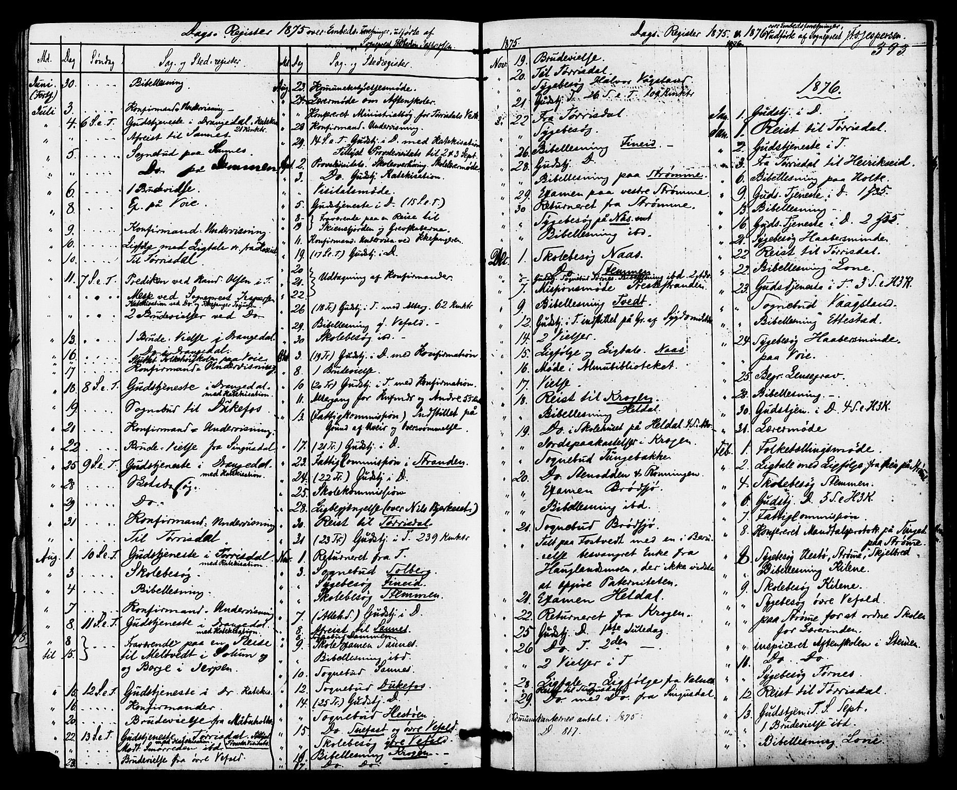 Drangedal kirkebøker, SAKO/A-258/F/Fa/L0009: Parish register (official) no. 9 /1, 1872-1884, p. 393