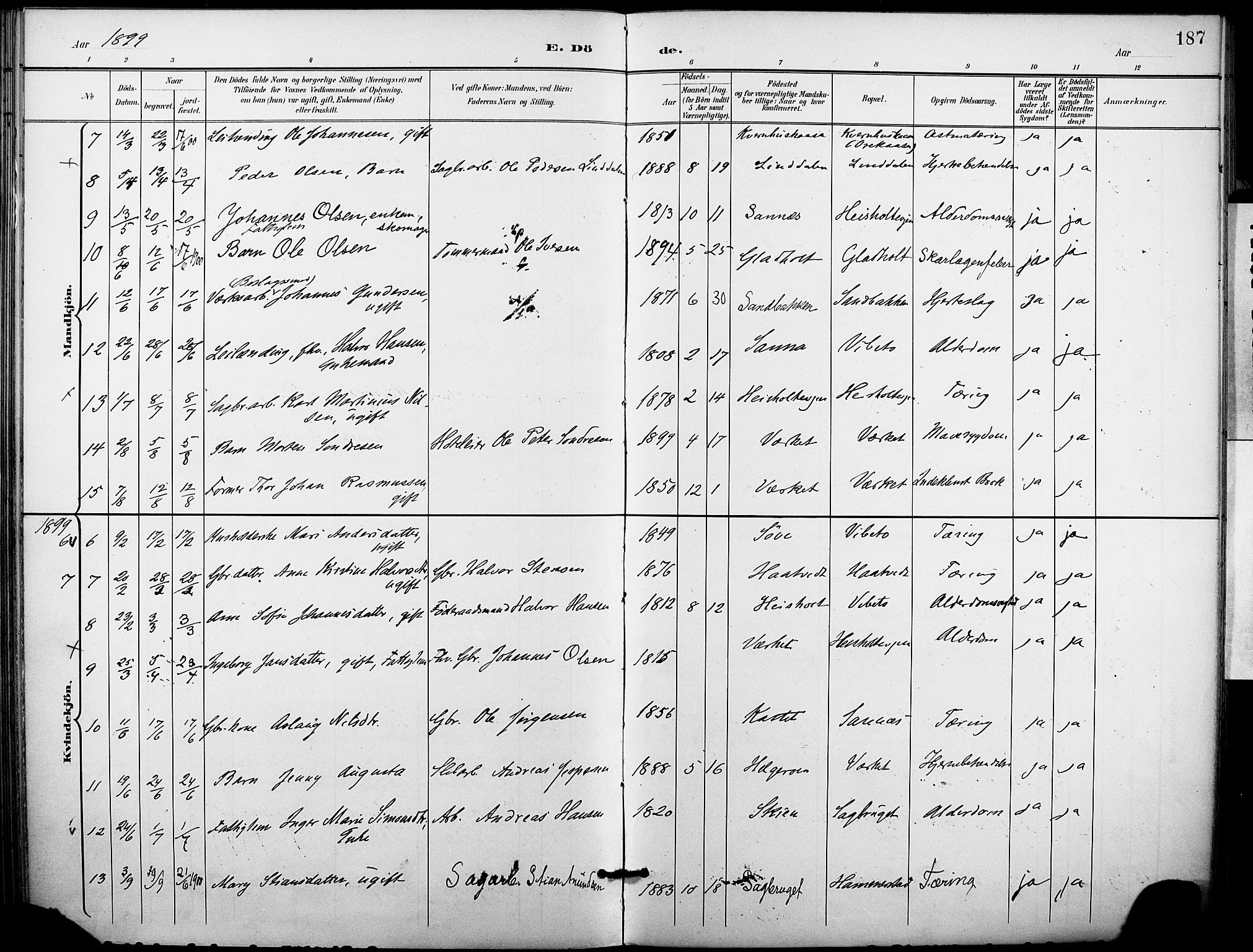 Holla kirkebøker, SAKO/A-272/F/Fa/L0010: Parish register (official) no. 10, 1897-1907, p. 187