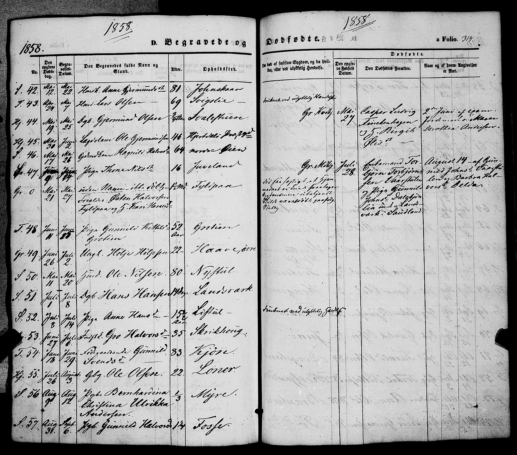 Hjartdal kirkebøker, AV/SAKO-A-270/F/Fa/L0008: Parish register (official) no. I 8, 1844-1859, p. 314