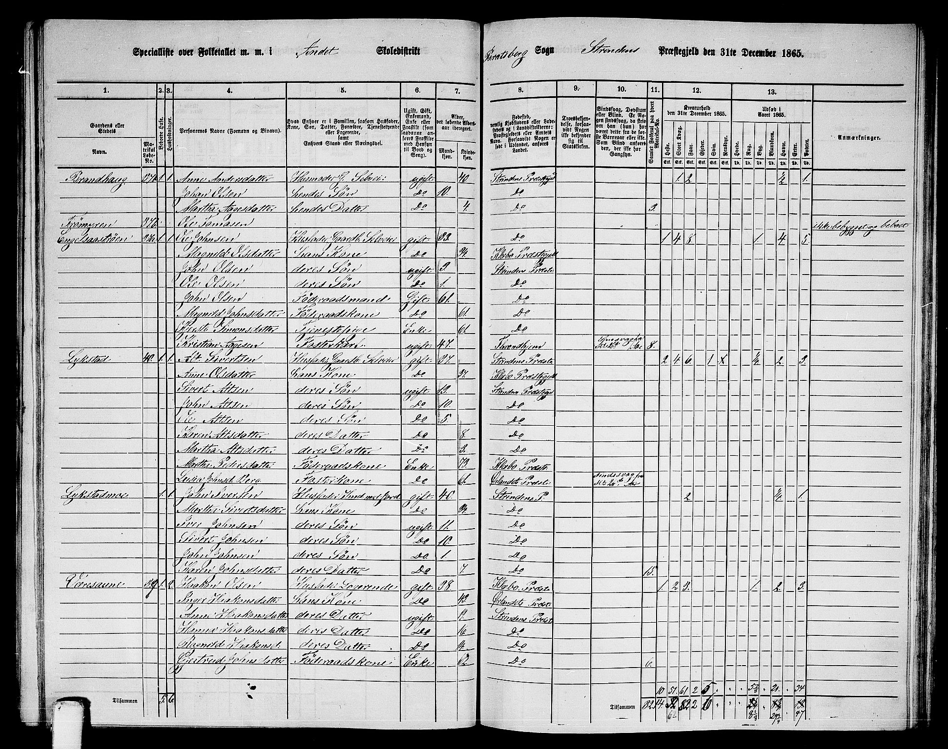 RA, 1865 census for Strinda, 1865, p. 176