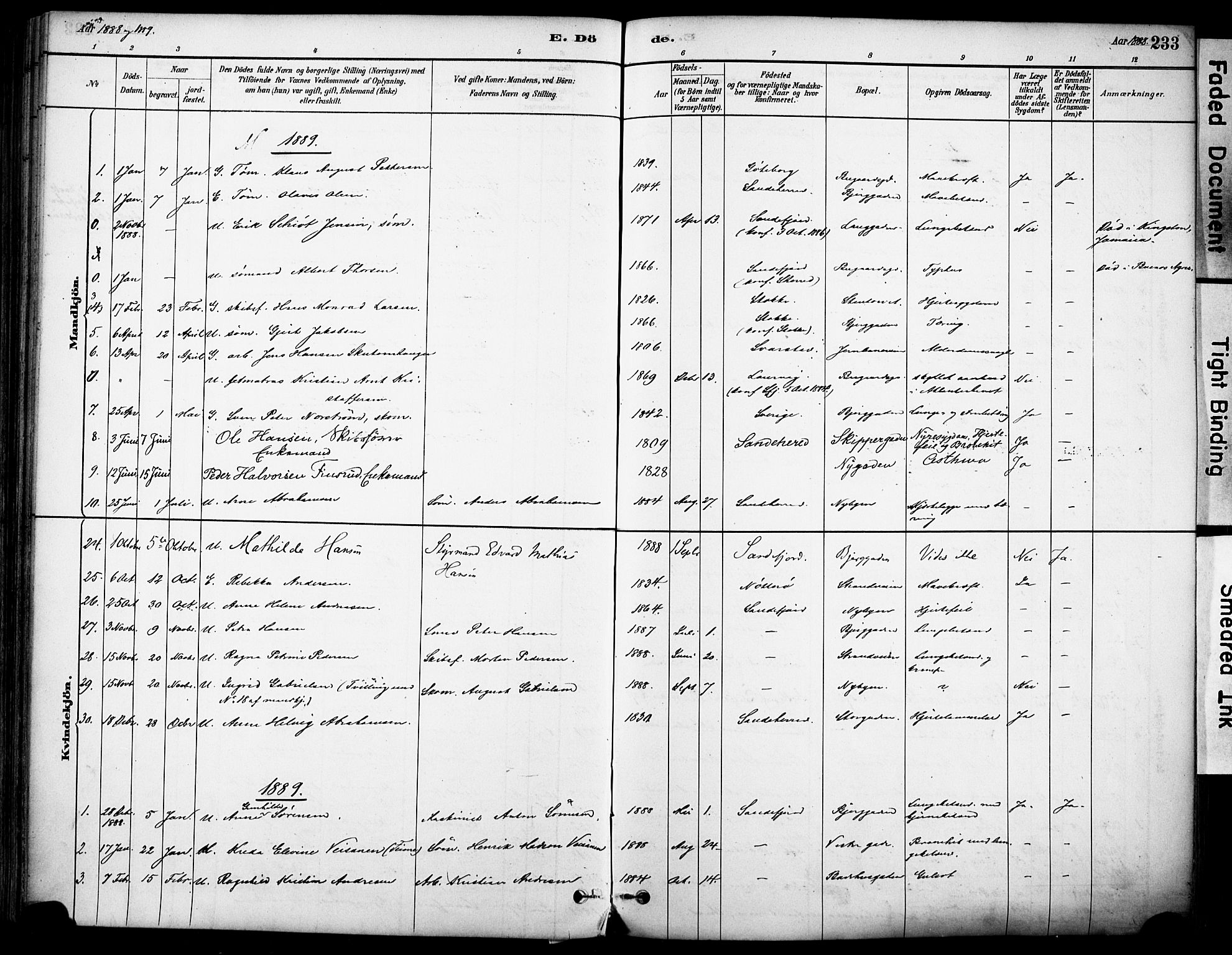 Sandefjord kirkebøker, SAKO/A-315/F/Fa/L0002: Parish register (official) no. 2, 1880-1894, p. 233