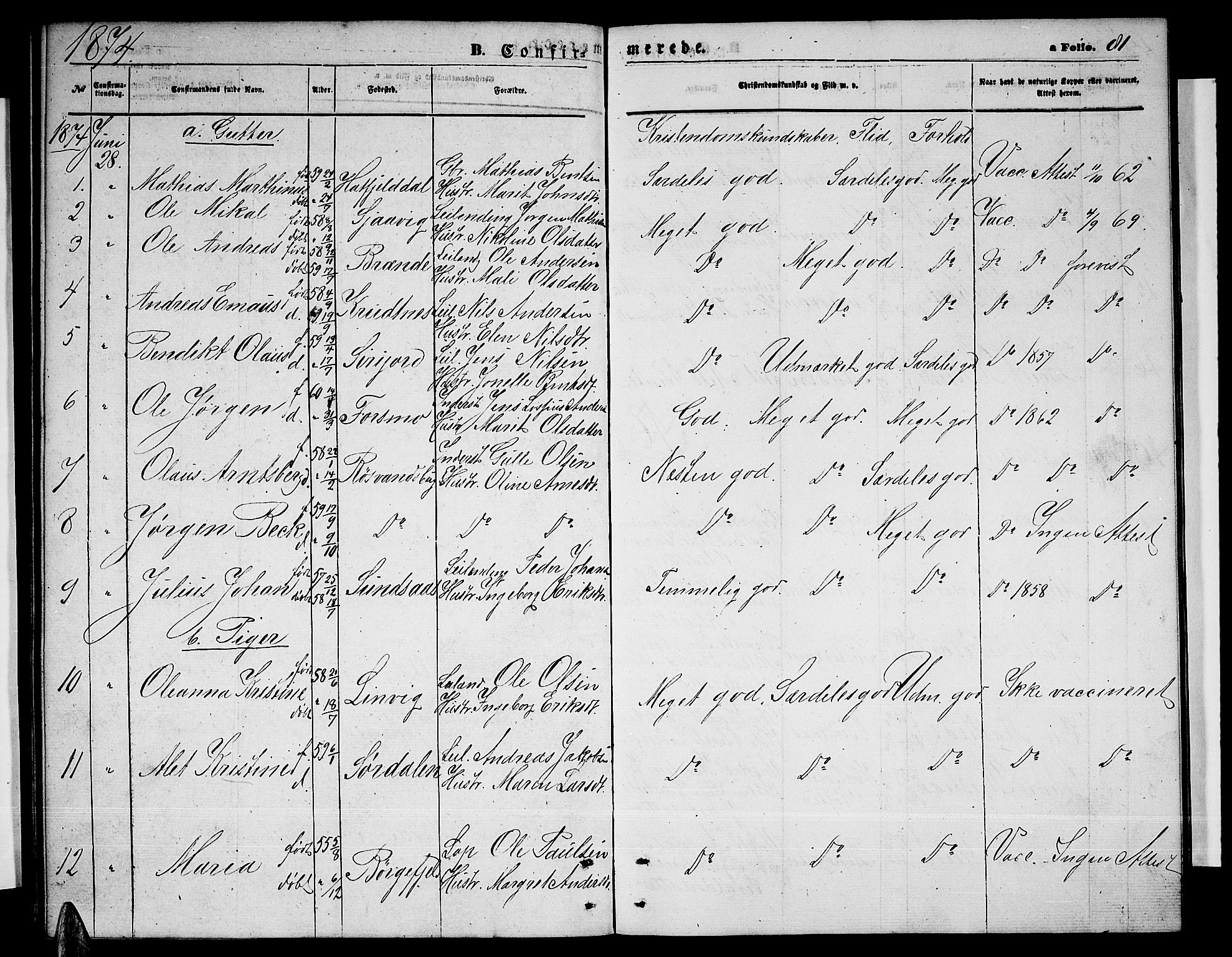 Ministerialprotokoller, klokkerbøker og fødselsregistre - Nordland, SAT/A-1459/823/L0329: Parish register (copy) no. 823C01, 1865-1878, p. 81