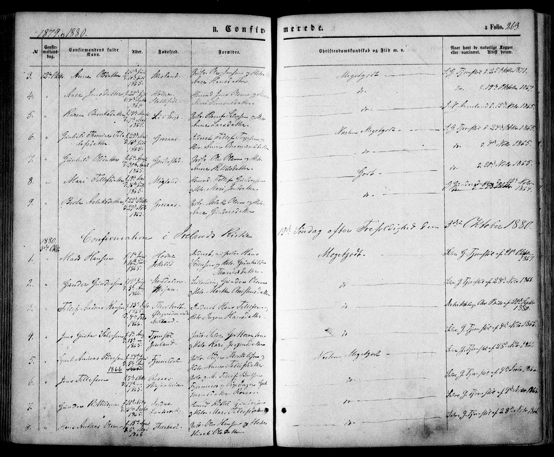 Evje sokneprestkontor, SAK/1111-0008/F/Fa/Faa/L0006: Parish register (official) no. A 6, 1866-1884, p. 263