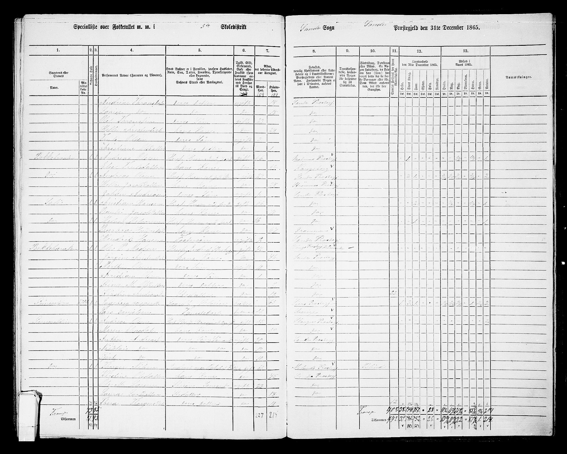 RA, 1865 census for Sande, 1865, p. 127