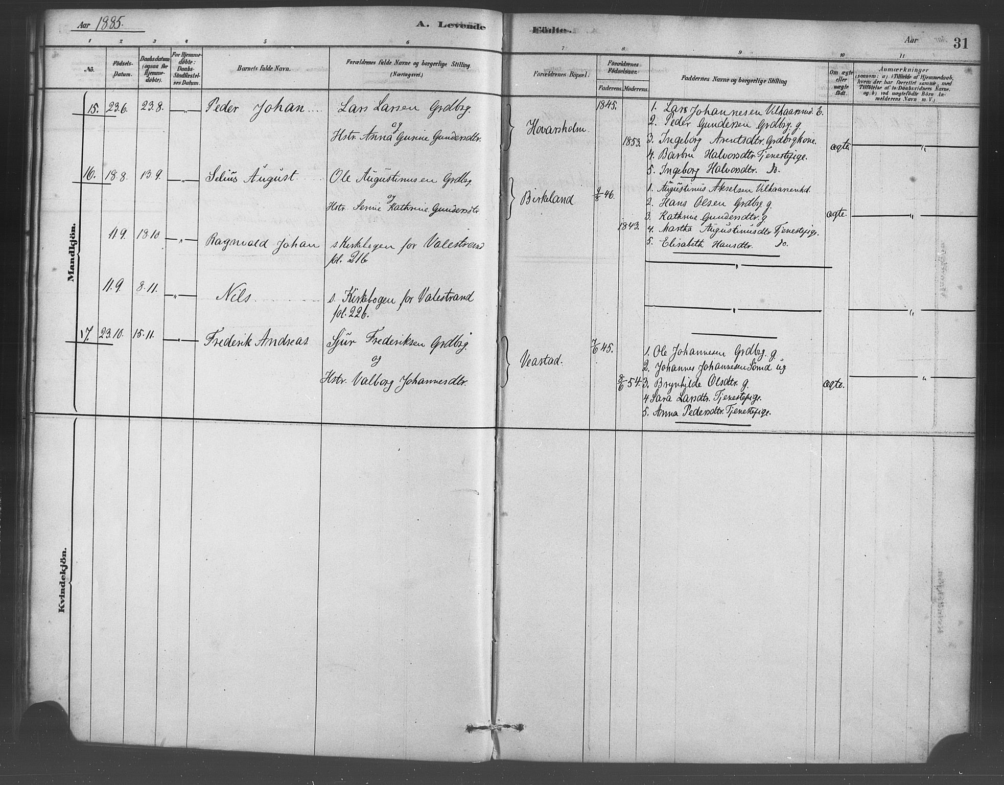 Sveio Sokneprestembete, AV/SAB-A-78501/H/Haa: Parish register (official) no. D 1, 1878-1894, p. 31
