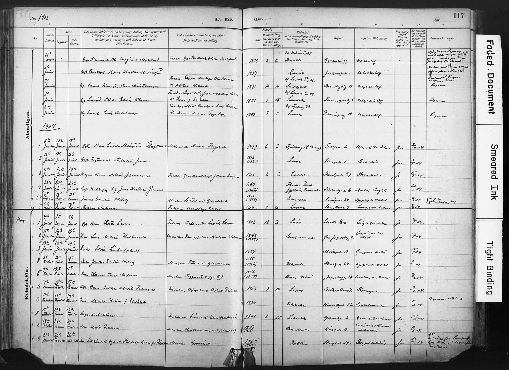 Larvik kirkebøker, SAKO/A-352/F/Fa/L0010: Parish register (official) no. I 10, 1884-1910, p. 117