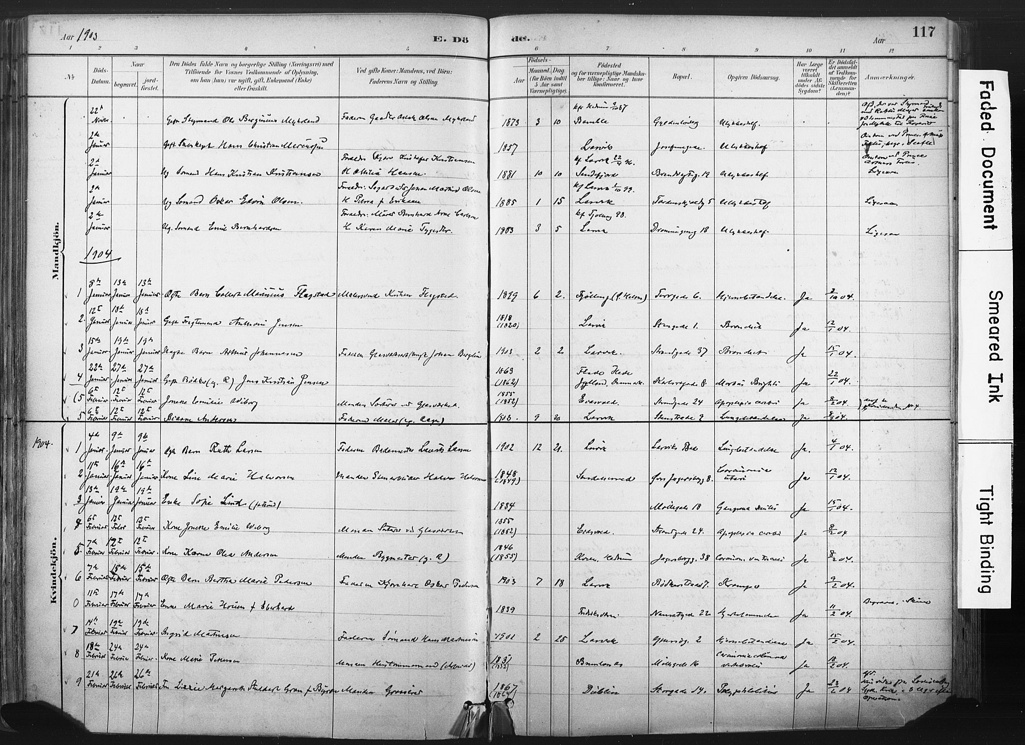 Larvik kirkebøker, AV/SAKO-A-352/F/Fa/L0010: Parish register (official) no. I 10, 1884-1910, p. 117