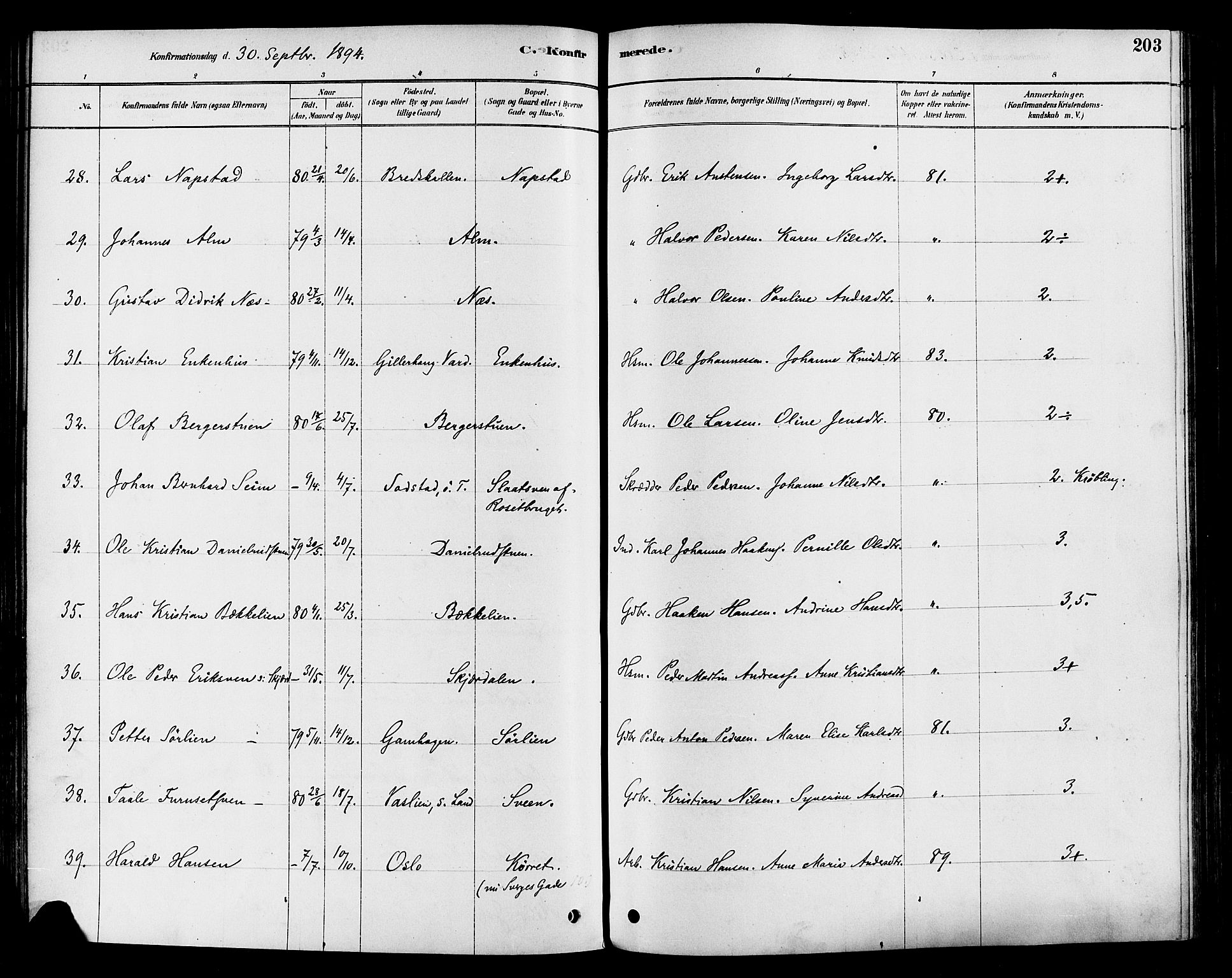 Vestre Toten prestekontor, SAH/PREST-108/H/Ha/Haa/L0009: Parish register (official) no. 9, 1878-1894, p. 203