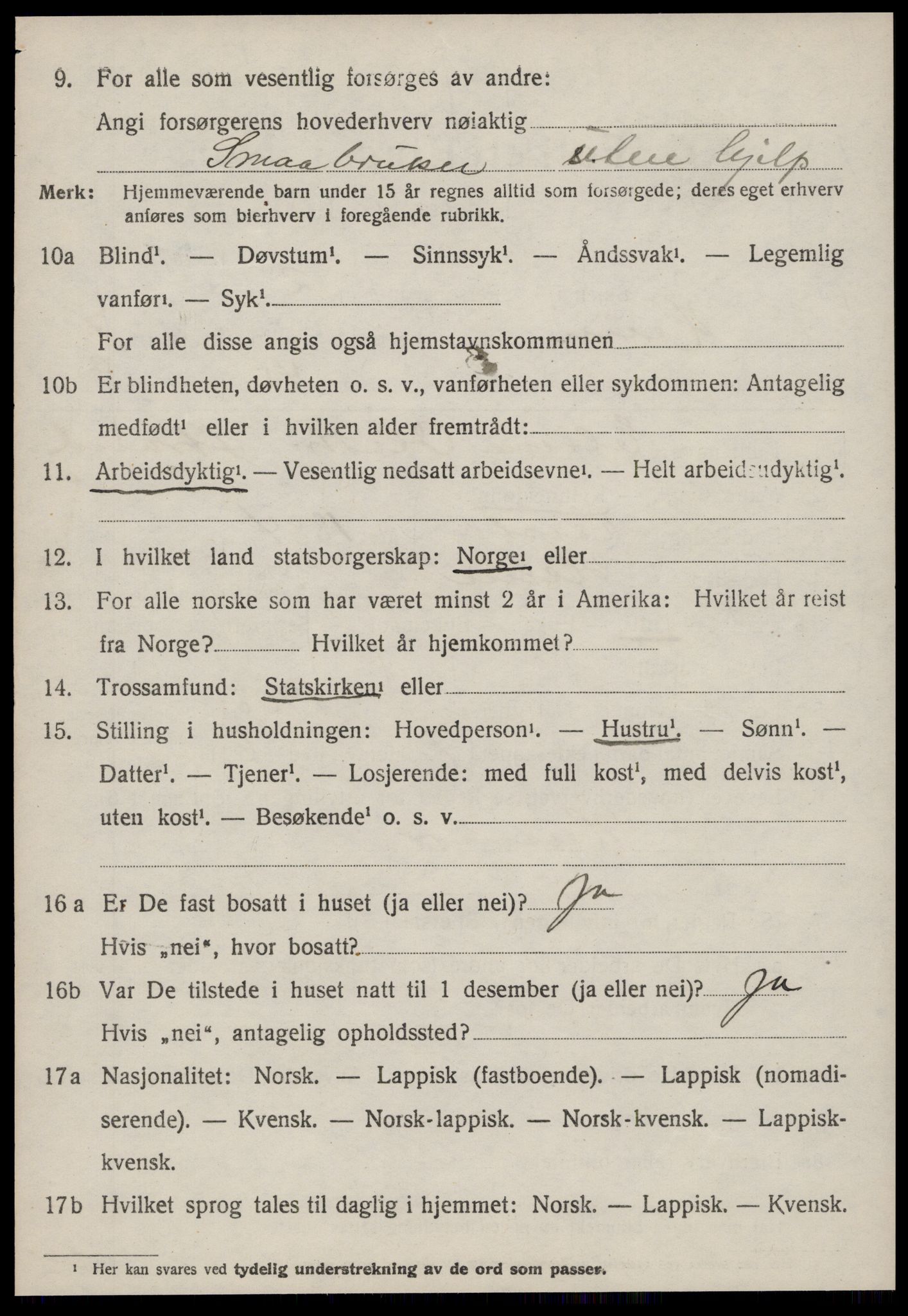 SAT, 1920 census for Heim, 1920, p. 3178