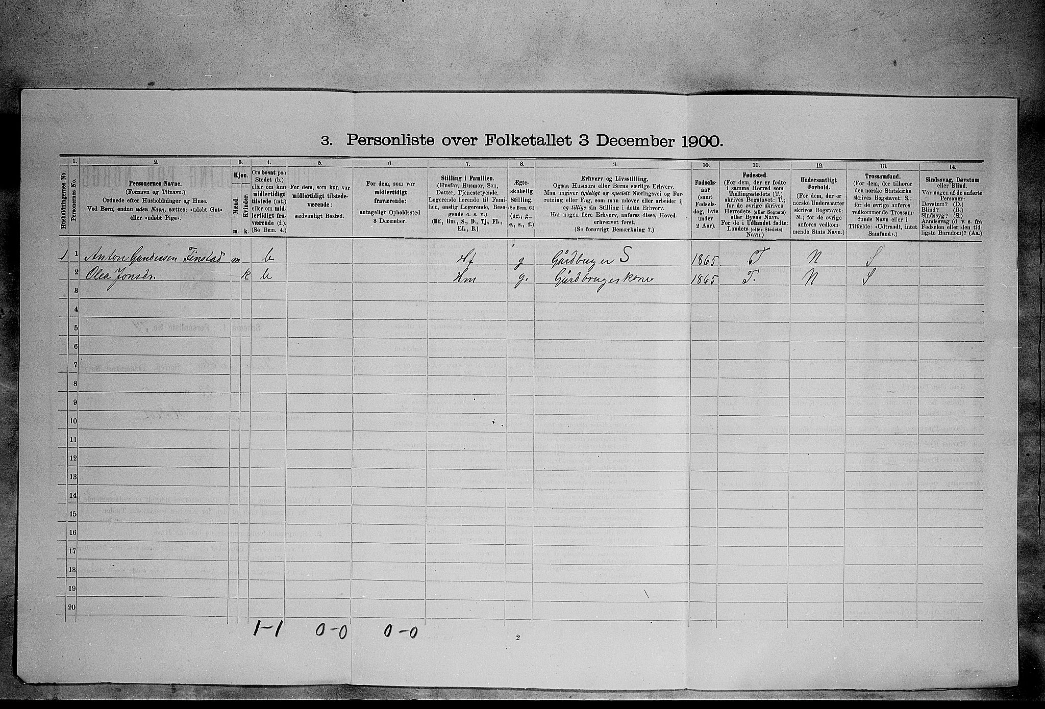 SAH, 1900 census for Våler, 1900, p. 502