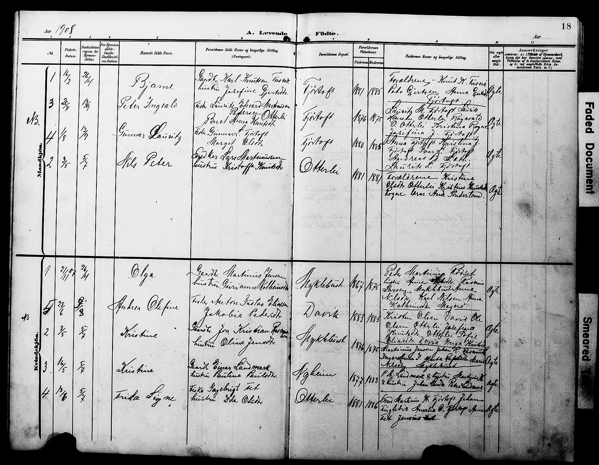 Ministerialprotokoller, klokkerbøker og fødselsregistre - Møre og Romsdal, AV/SAT-A-1454/538/L0524: Parish register (copy) no. 538C02, 1901-1931, p. 18