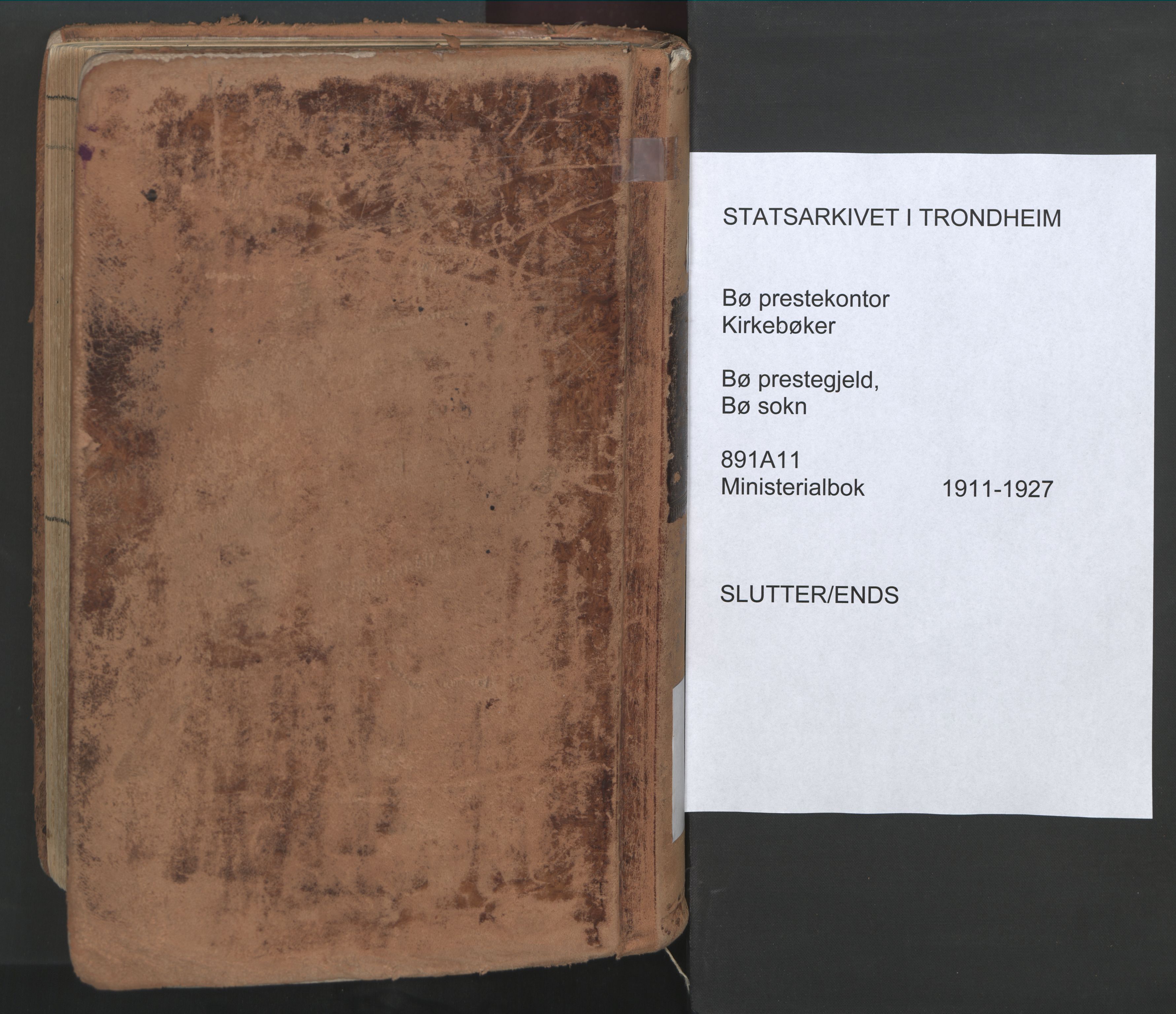 Ministerialprotokoller, klokkerbøker og fødselsregistre - Nordland, AV/SAT-A-1459/891/L1306: Parish register (official) no. 891A11, 1911-1927