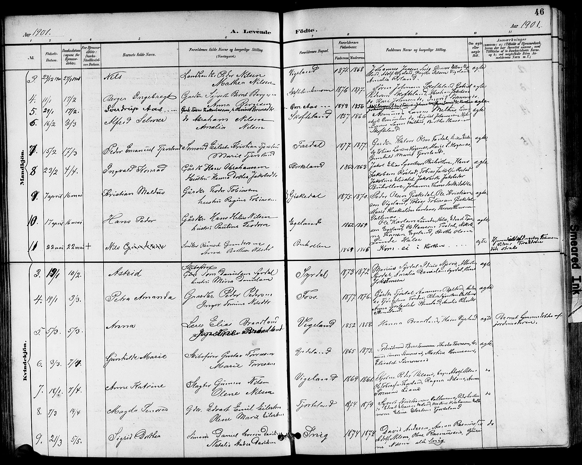 Sør-Audnedal sokneprestkontor, AV/SAK-1111-0039/F/Fb/Fbb/L0006: Parish register (copy) no. B 6, 1893-1915, p. 46