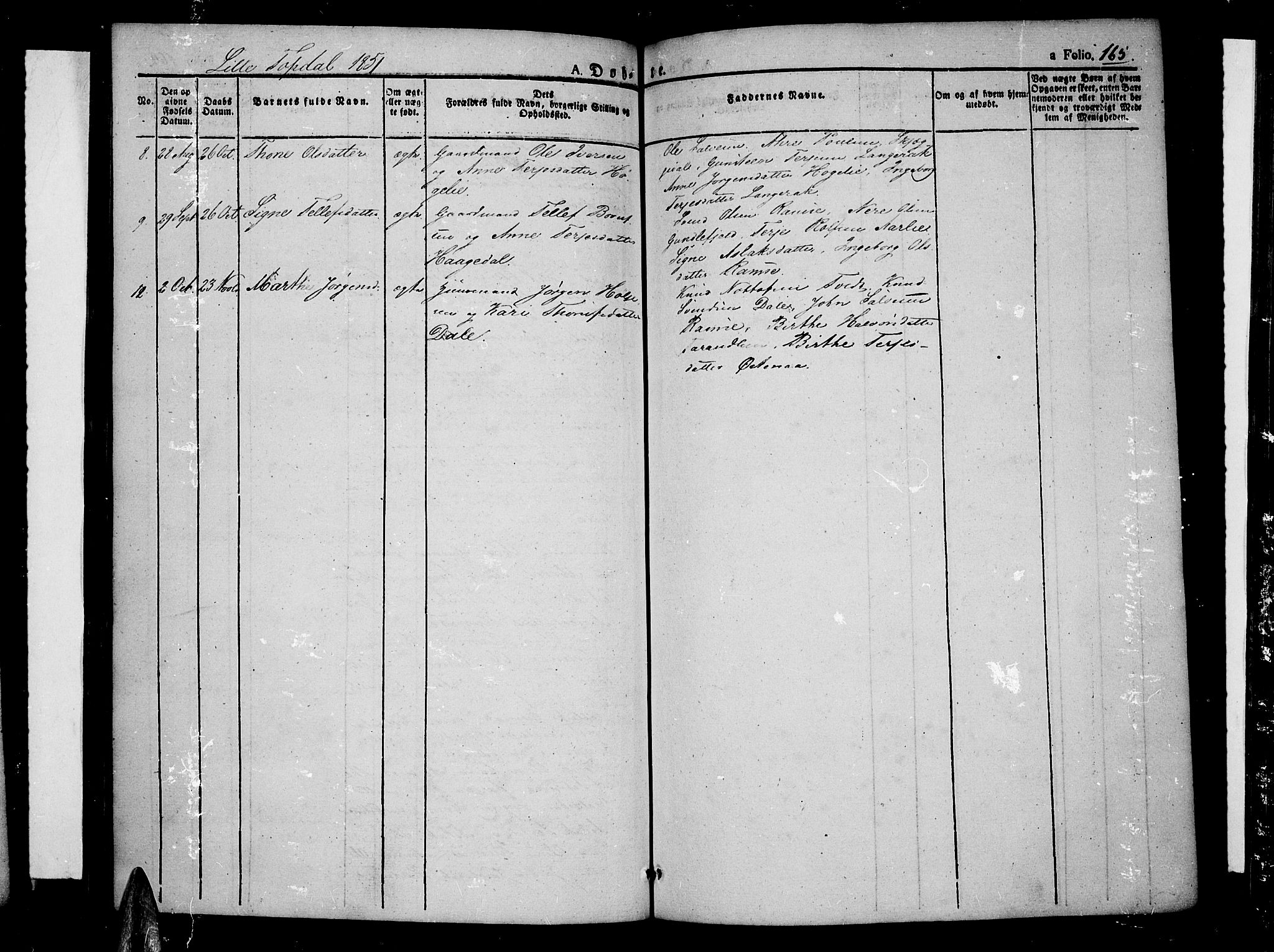 Åmli sokneprestkontor, AV/SAK-1111-0050/F/Fa/Fac/L0007: Parish register (official) no. A 7 /4, 1829-1851, p. 165