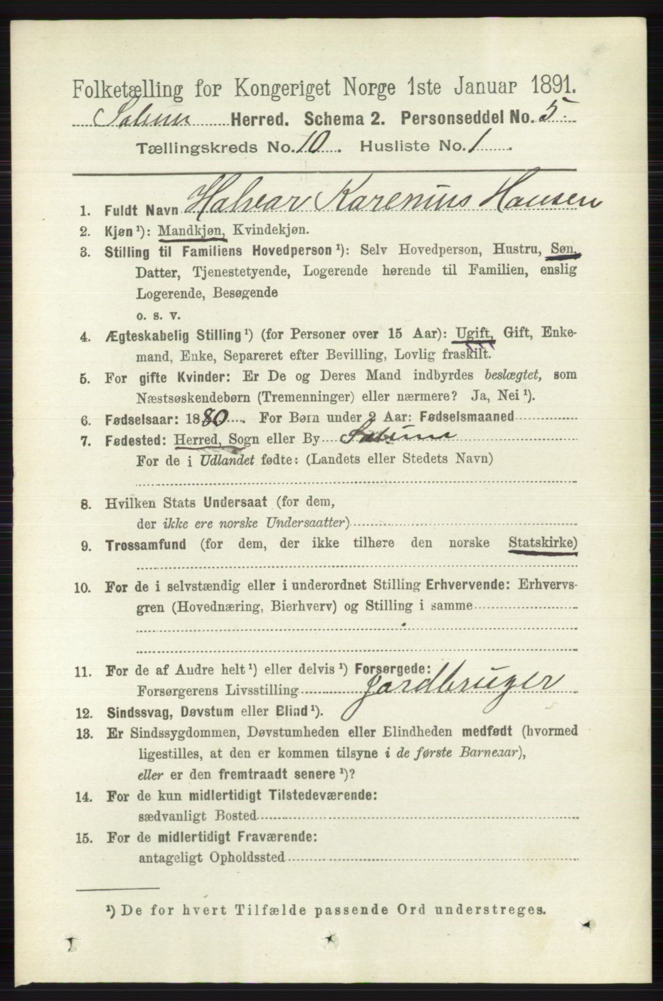 RA, 1891 census for 0818 Solum, 1891, p. 4694