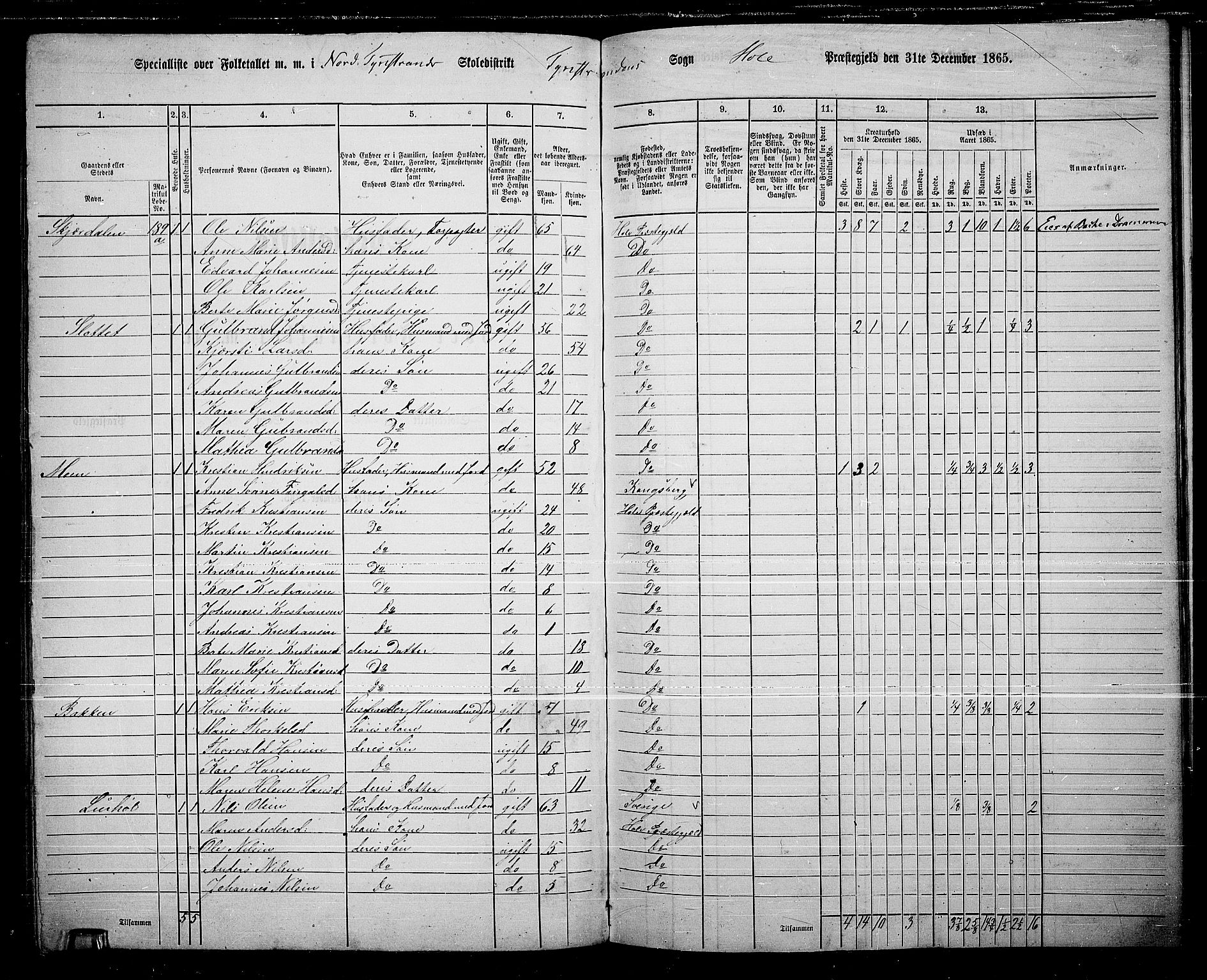 RA, 1865 census for Hole, 1865, p. 122