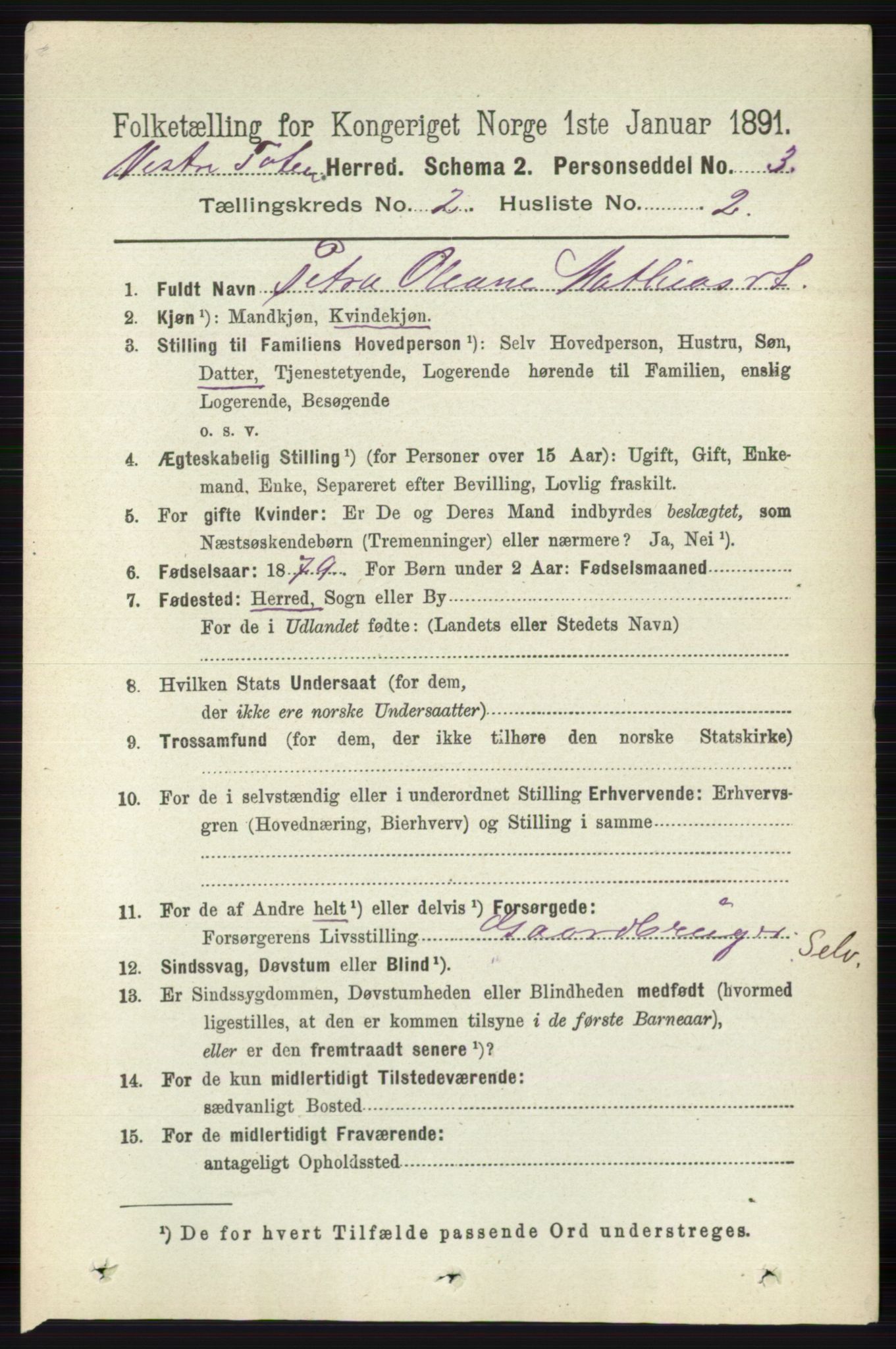 RA, 1891 census for 0529 Vestre Toten, 1891, p. 1377