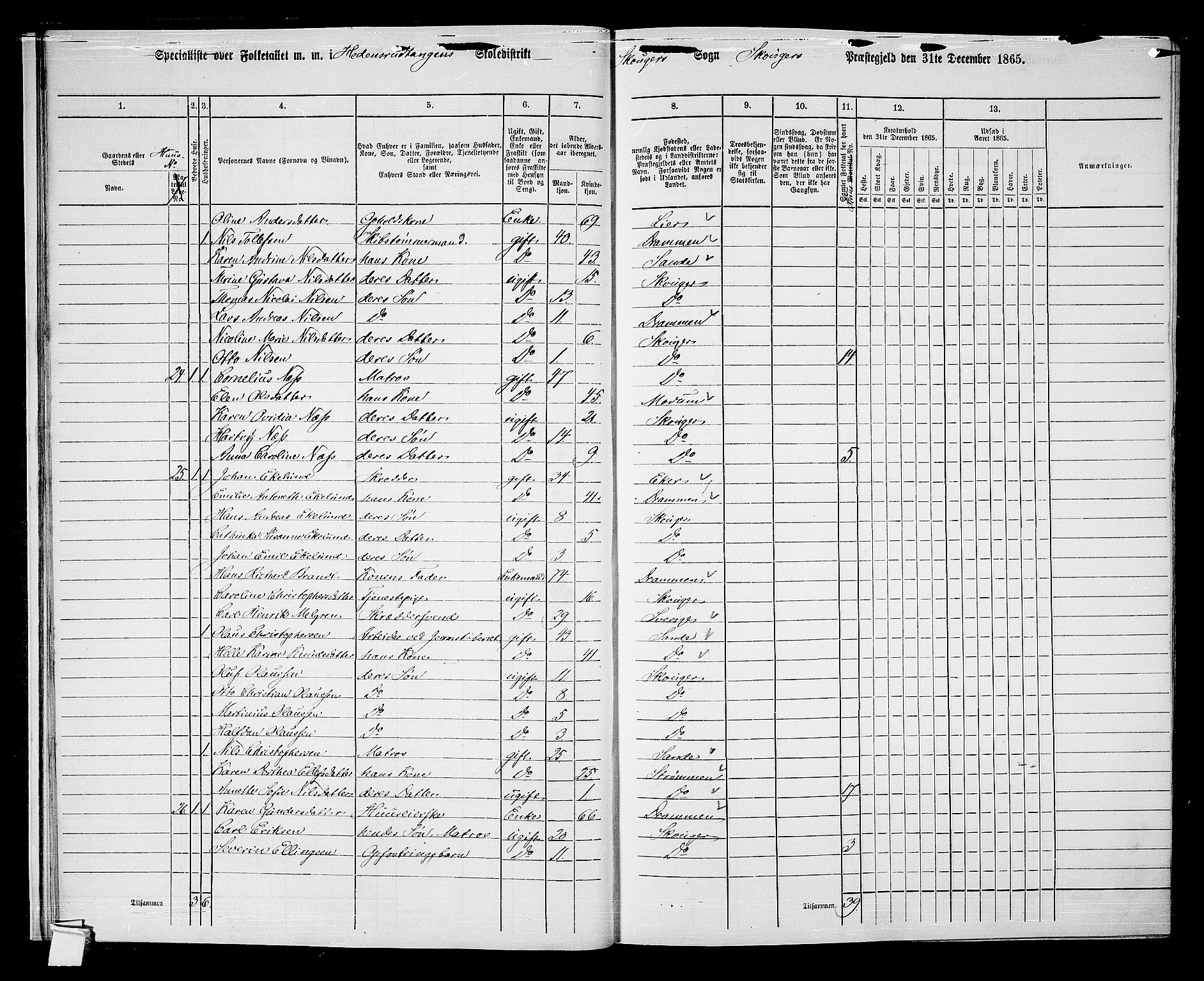 RA, 1865 census for Skoger, 1865, p. 20