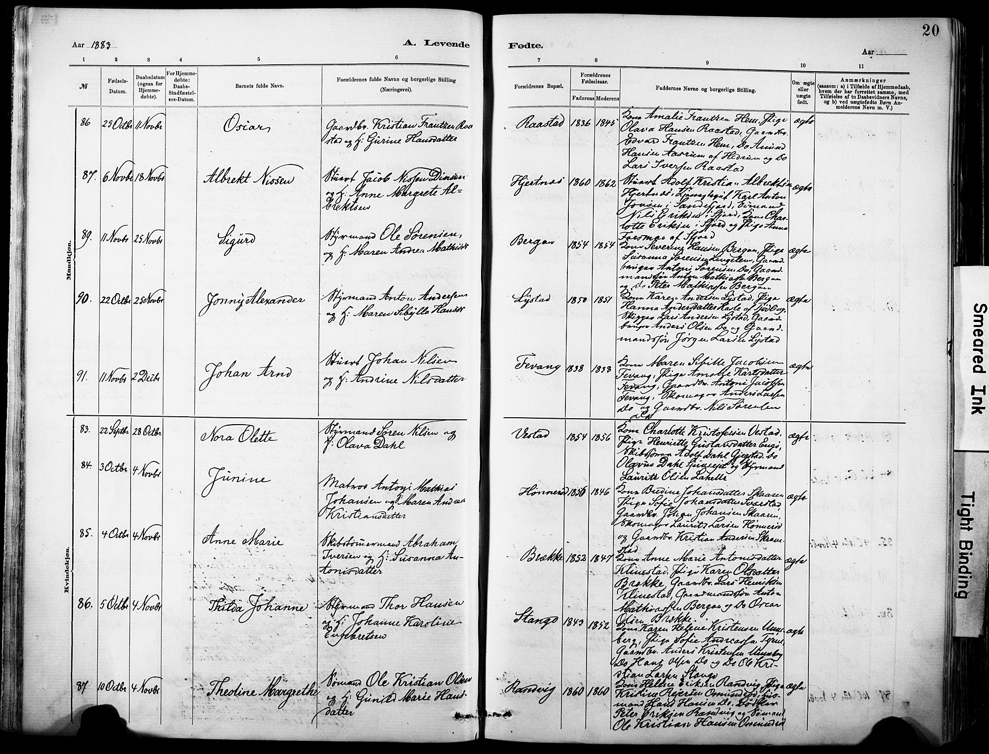 Sandar kirkebøker, AV/SAKO-A-243/F/Fa/L0012: Parish register (official) no. 12, 1883-1895, p. 20