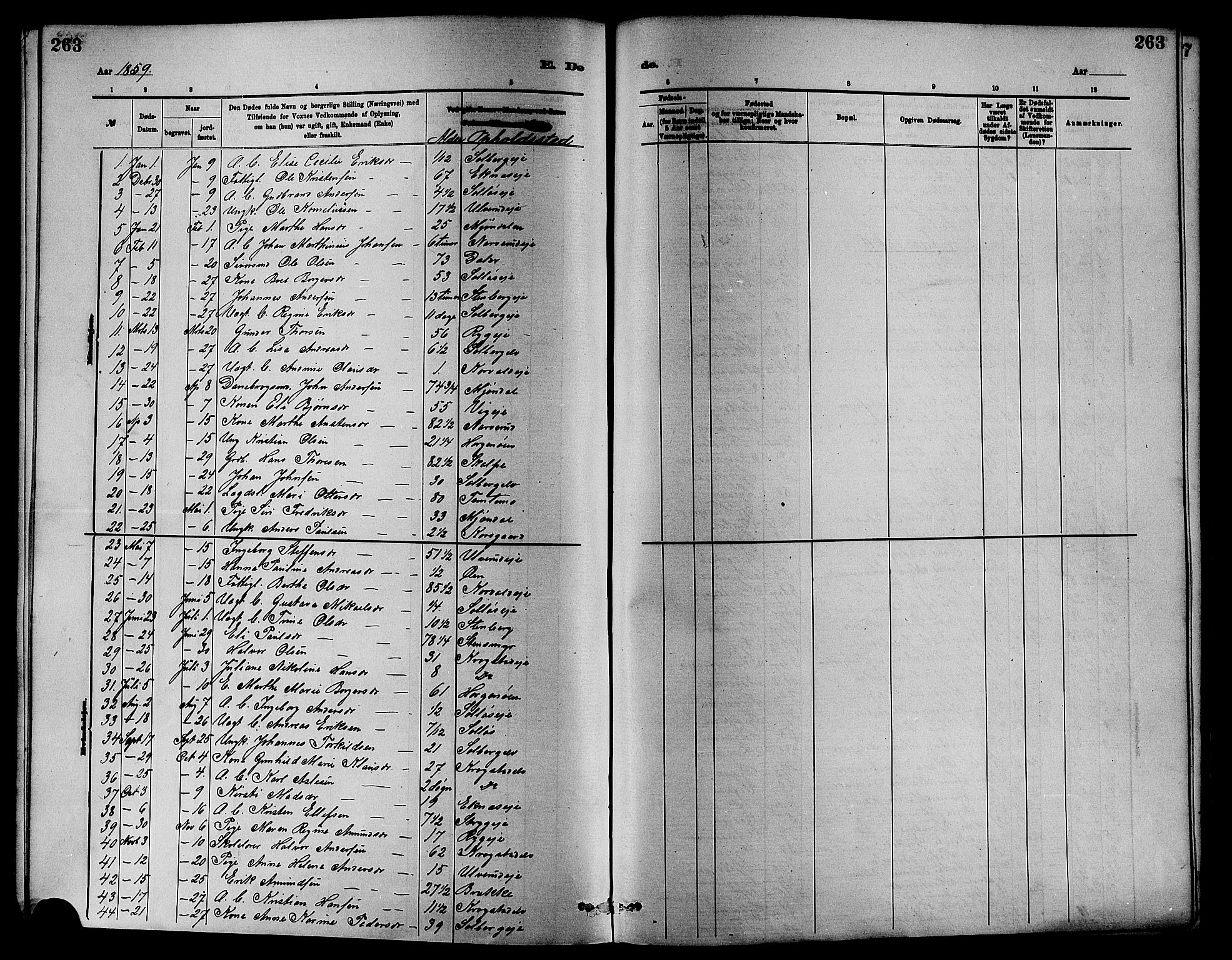 Nedre Eiker kirkebøker, SAKO/A-612/F/Fa/L0001: Parish register (official) no. 1, 1853-1877, p. 263