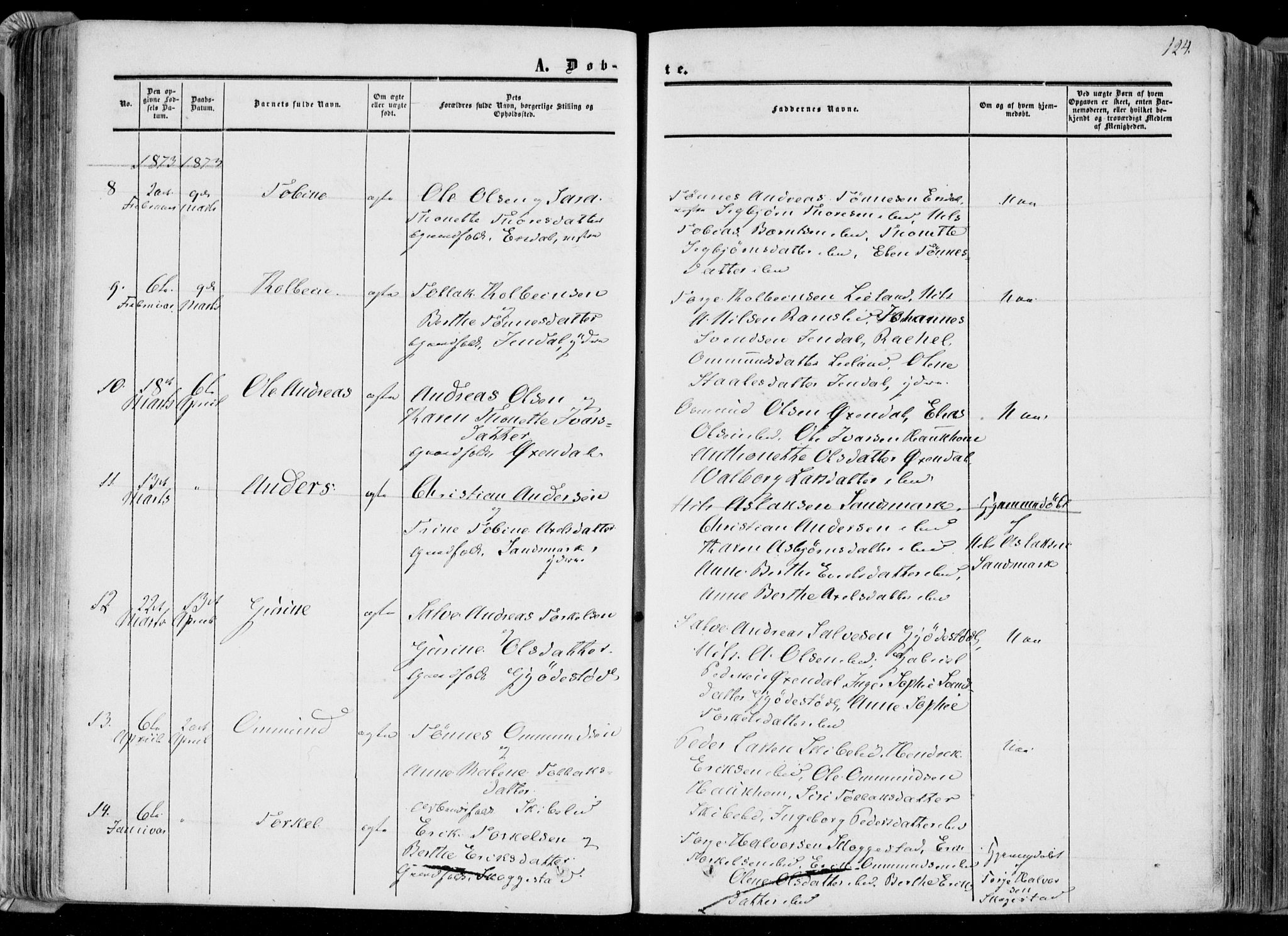 Bakke sokneprestkontor, AV/SAK-1111-0002/F/Fa/Faa/L0006: Parish register (official) no. A 6, 1855-1877, p. 124