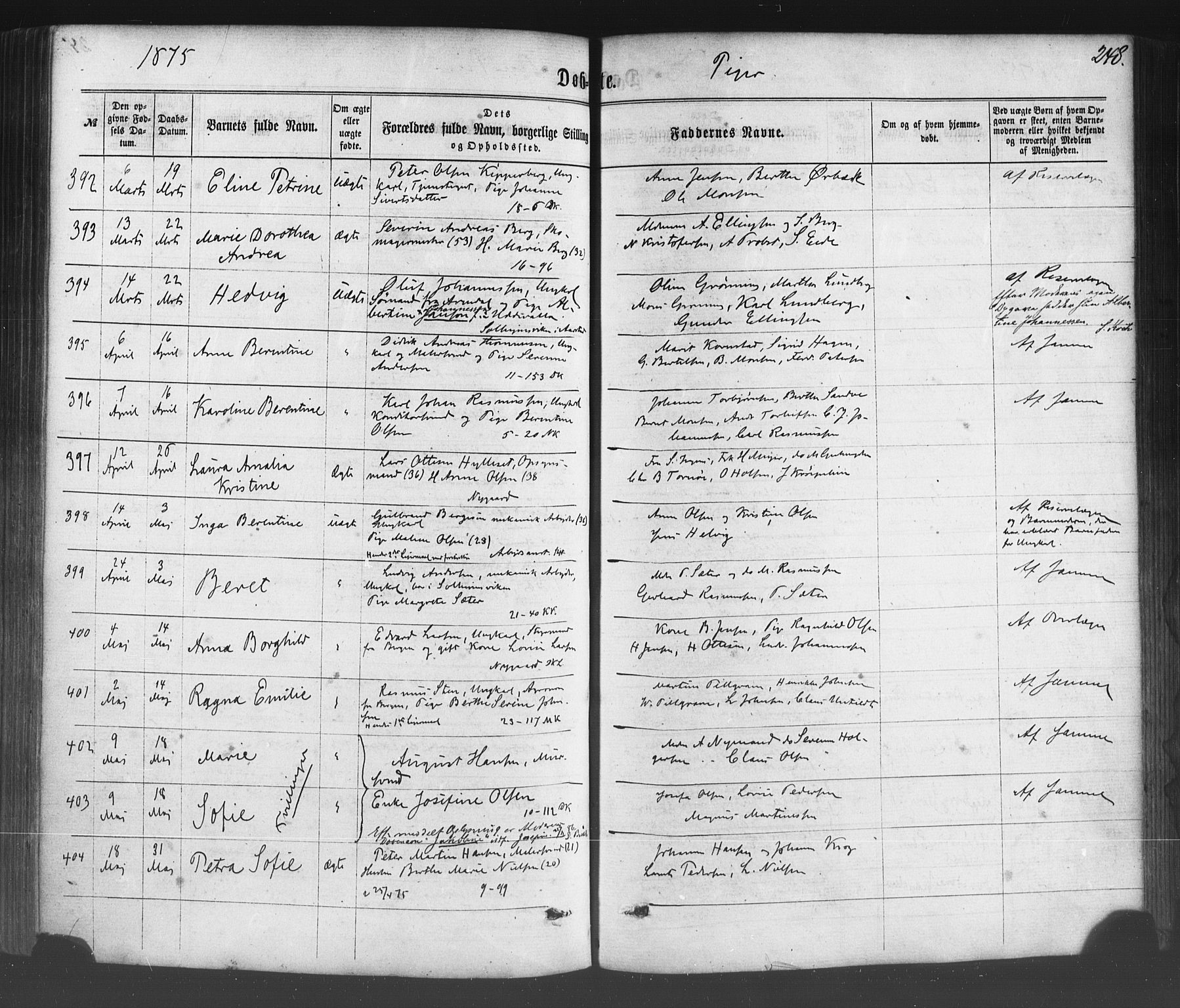 Fødselsstiftelsens sokneprestembete*, SAB/-: Parish register (official) no. A 1, 1863-1883, p. 248