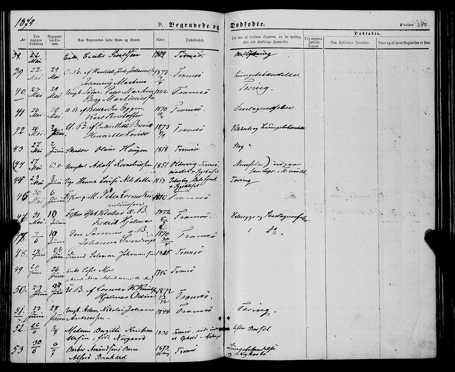 Tromsø sokneprestkontor/stiftsprosti/domprosti, SATØ/S-1343/G/Ga/L0013kirke: Parish register (official) no. 13, 1872-1877, p. 254